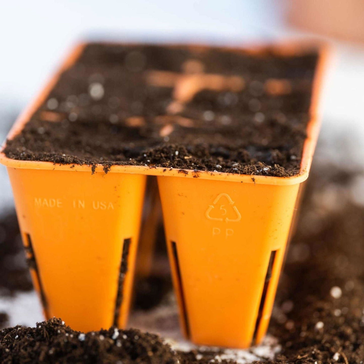 Six black Bootstrap Farmer 6-cell plug tray inserts for seed starting, designed for easy planting and transplanting.