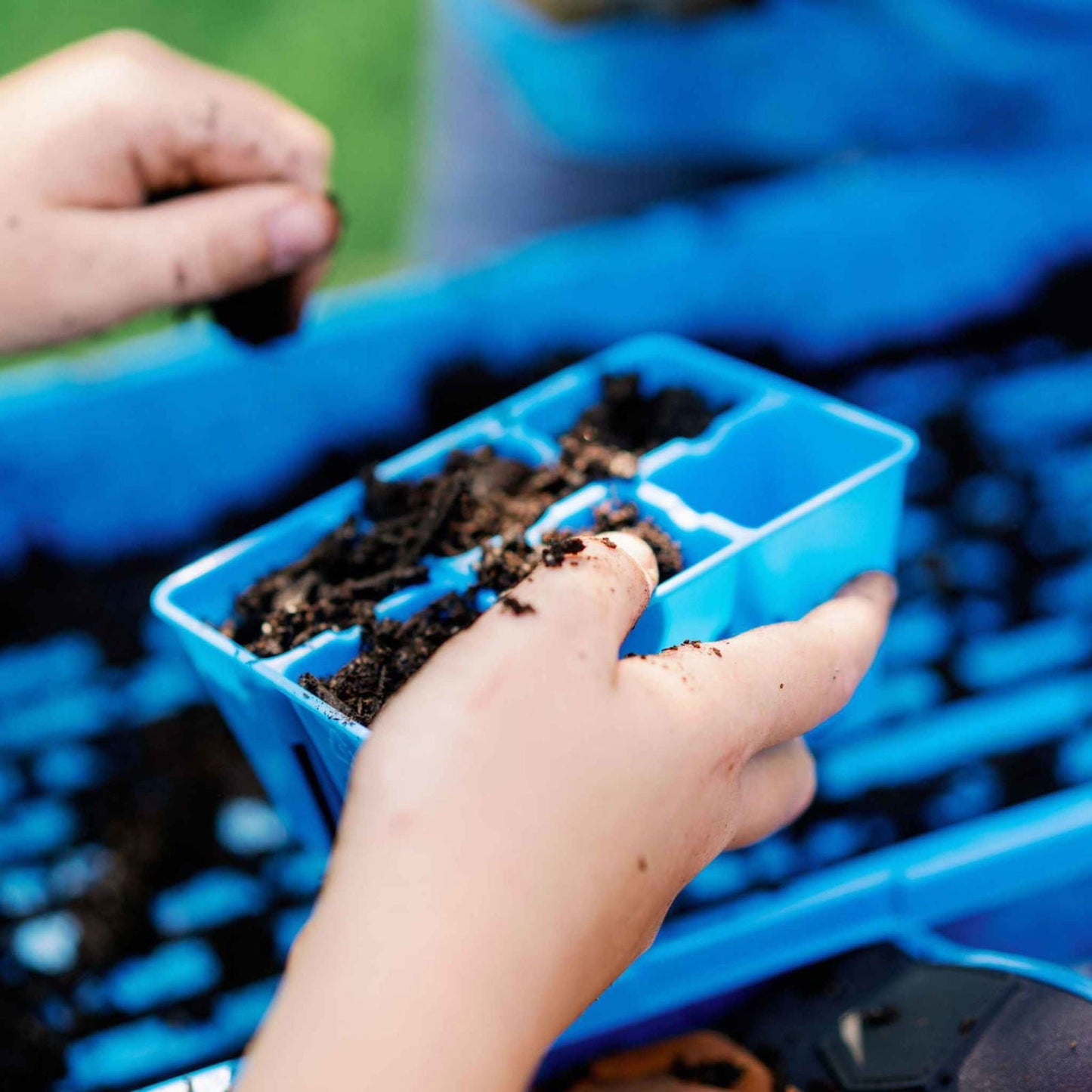 Bootstrap Farmer 6-cell plug tray inserts in various colors, designed for plant propagation and seedling growth.