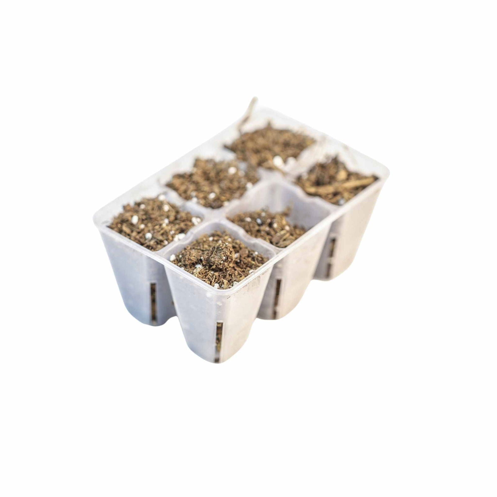 Bootstrap Farmer 6-cell plug tray inserts in black, designed for cell trays, ideal for seed starting and propagation.