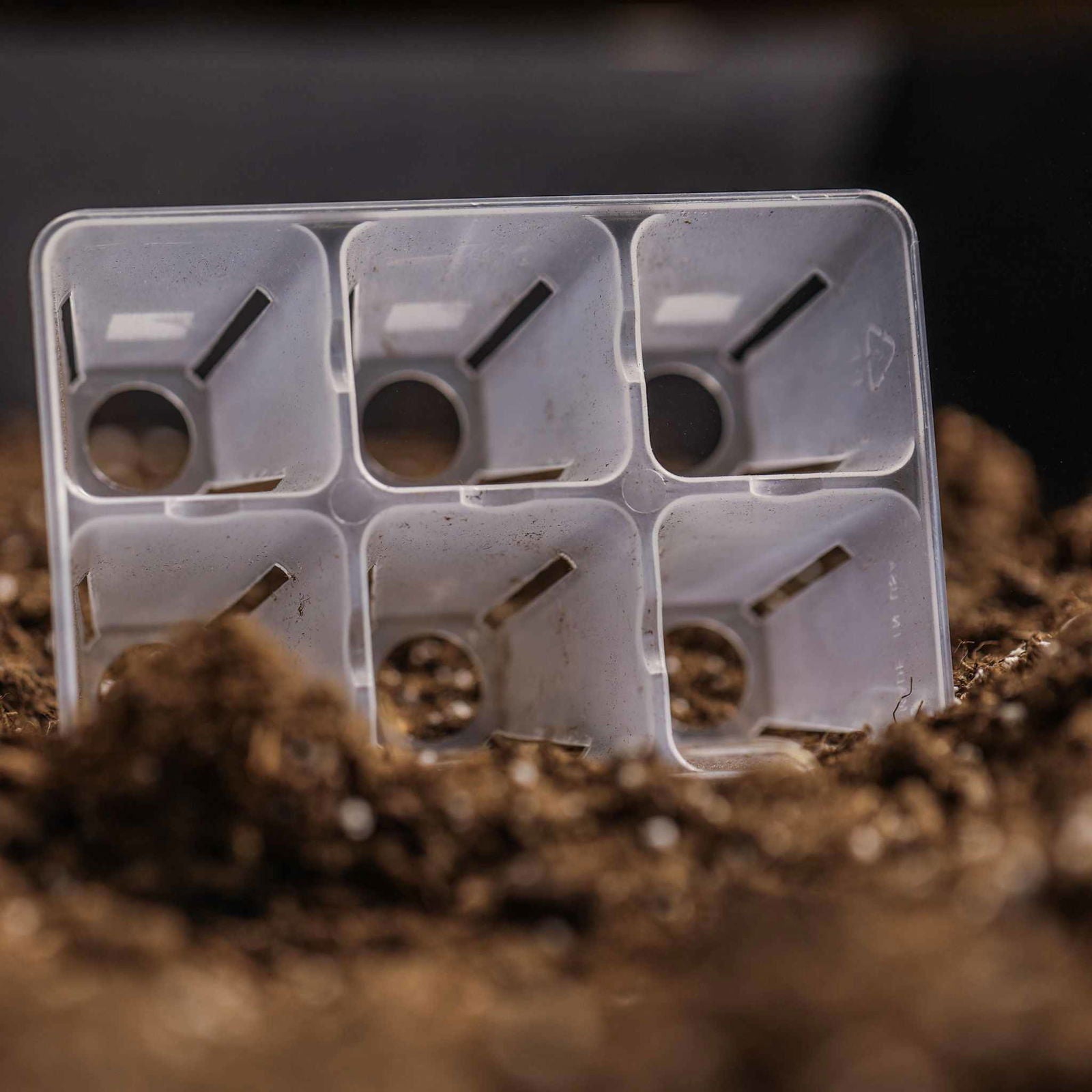 Bootstrap Farmer 6-cell plug tray inserts in black, designed for seed starting and propagation in versatile cell trays.
