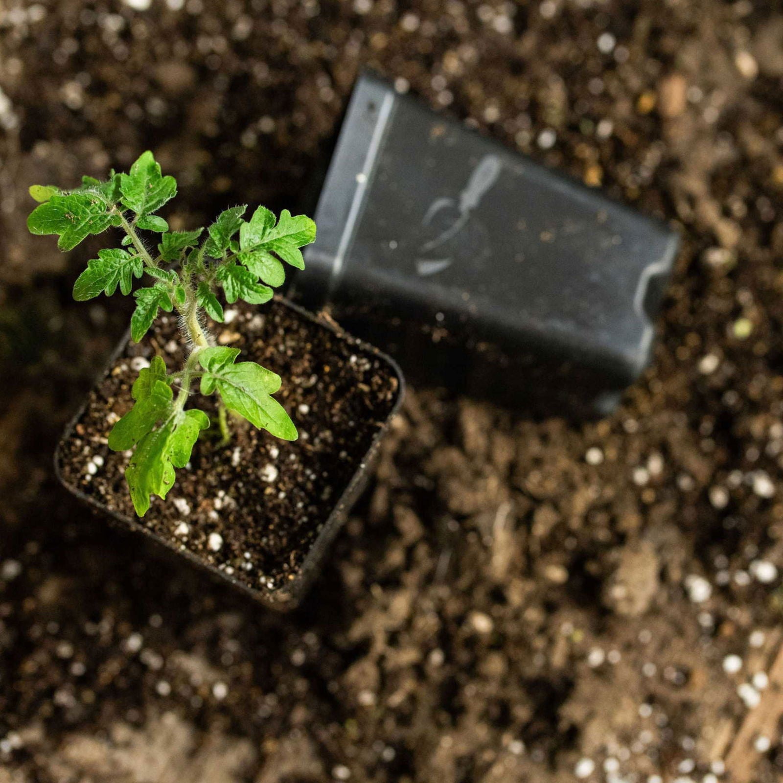 Black 32-cell reusable plant starter trays with inserts from Bootstrap Farmer, ideal for seedling propagation and gardening.