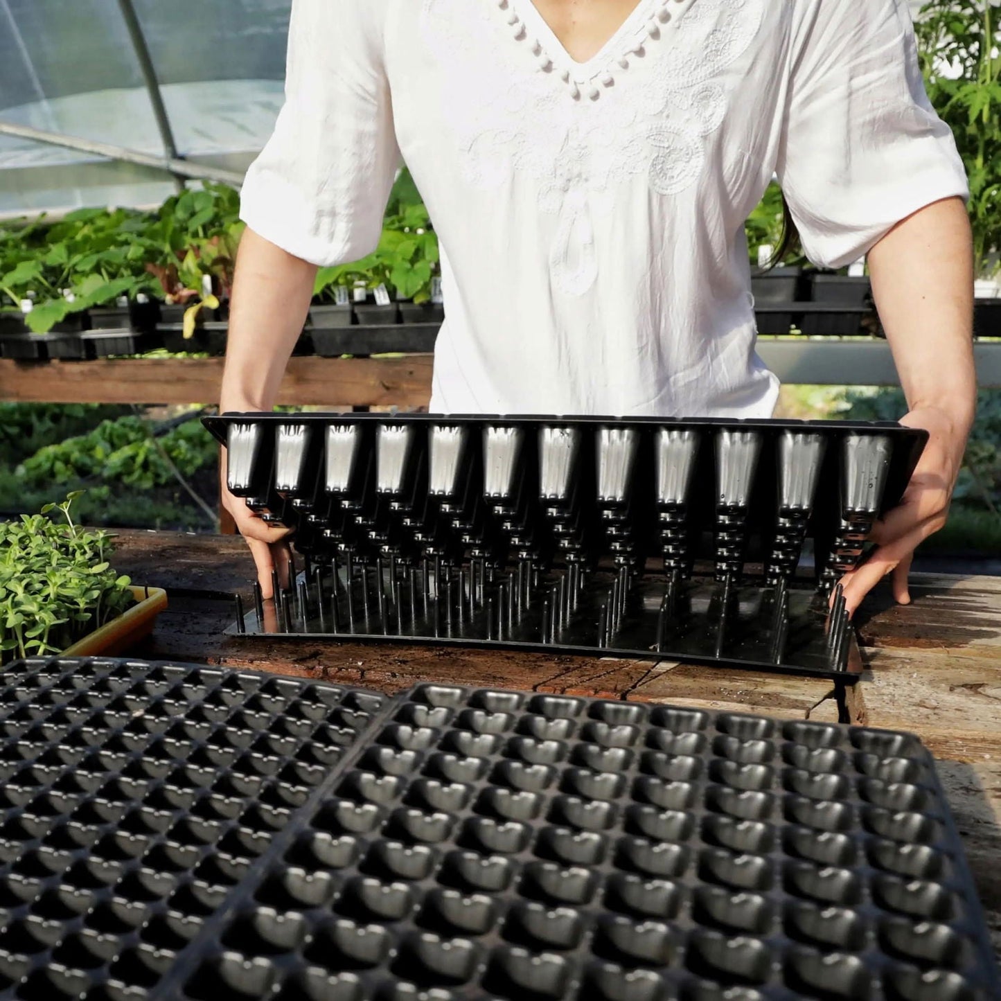 Bootstrap Farmer Plug Popper tool for 72-cell cell trays, used to easily insert plugs for planting and transplanting.