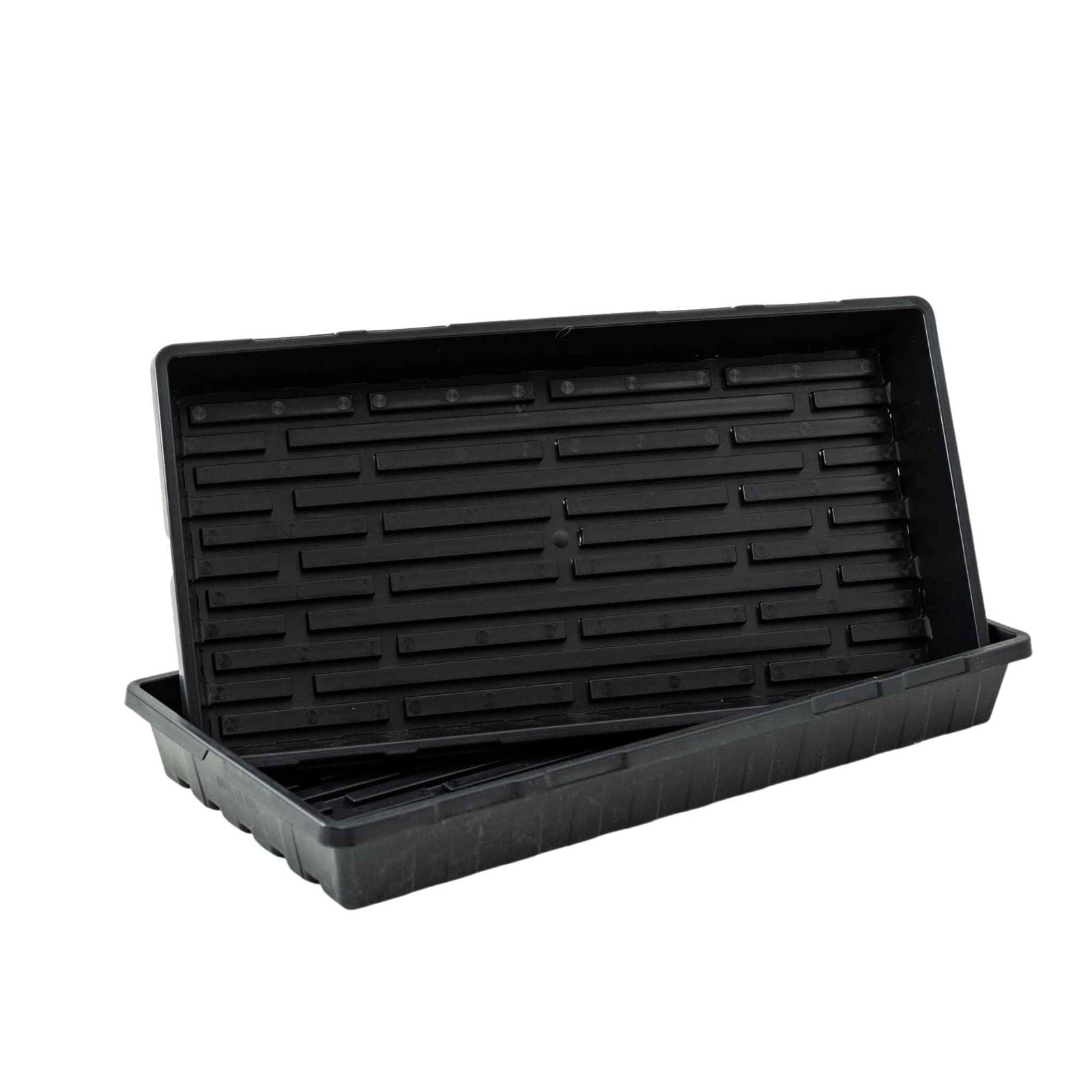 Bootstrap Farmer seed starting cell trays from The Market Gardener Seed Starting Bundle, ideal for gardening seedlings.
