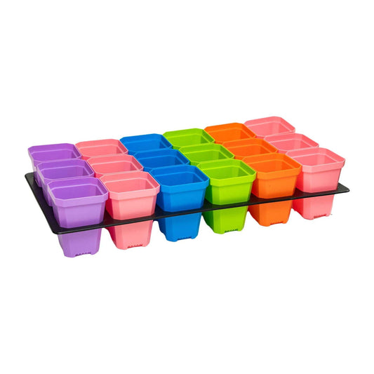 Multicolor Bootstrap Farmer 3.3-inch heavy-duty seed starting cell trays with 36 pots and inserts for easy seed germination.
