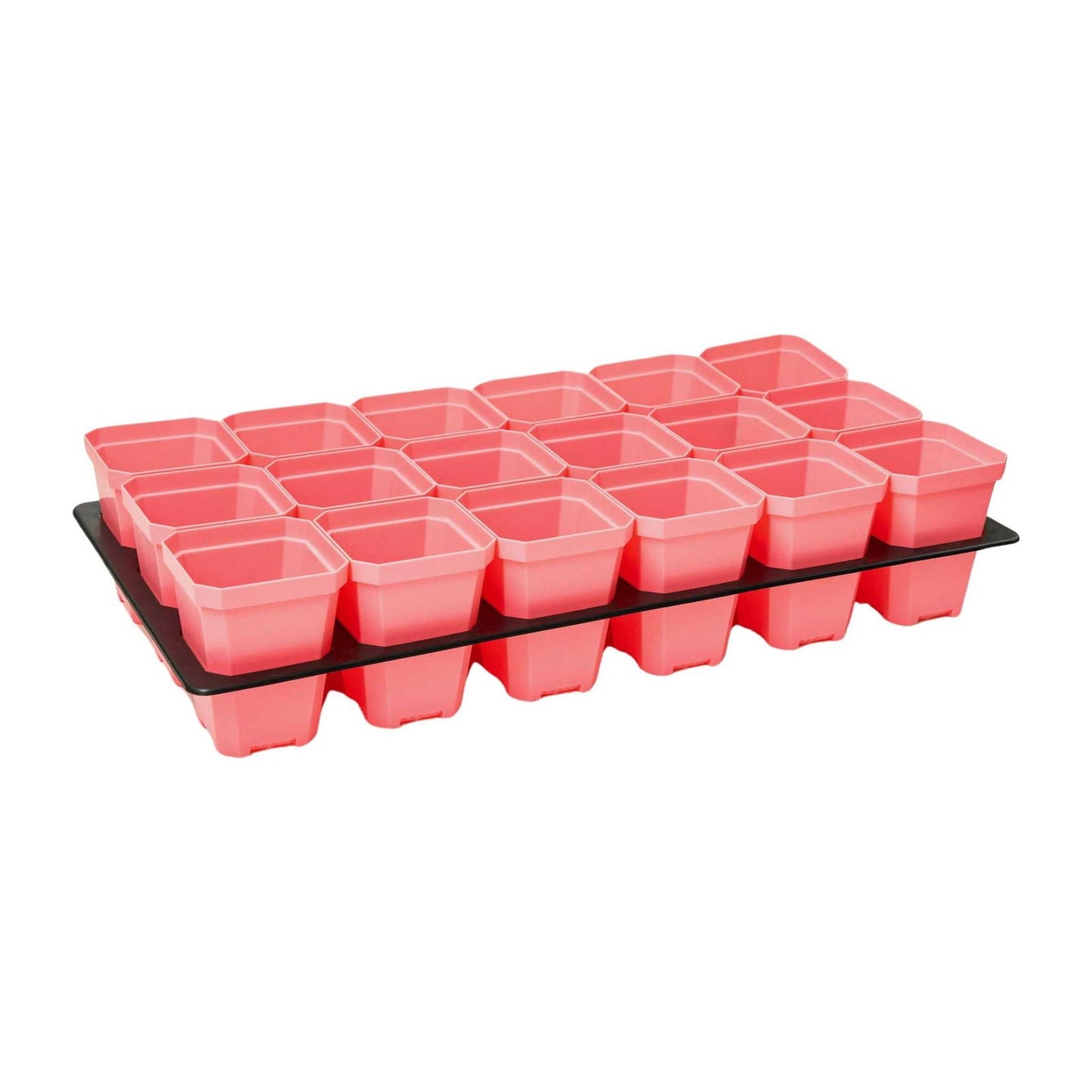 Multicolor Bootstrap Farmer 3.3-inch heavy-duty seed starting pots with inserts in a cell tray for planting seedlings.
