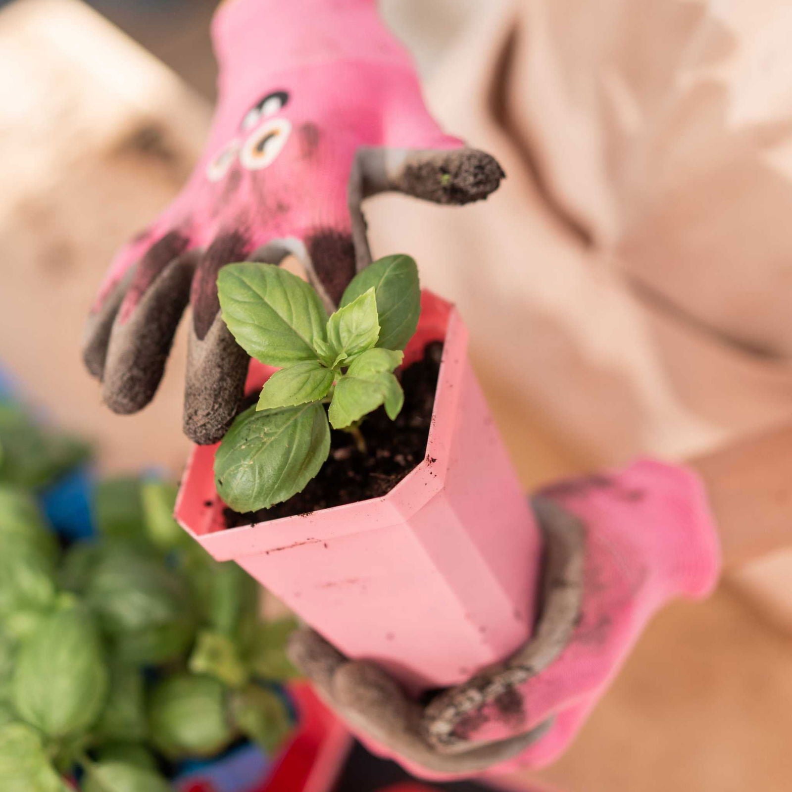 Multicolor 3.3-inch heavy-duty seed starting pots with inserts in Bootstrap Farmer cell tray, ideal for seed propagation and plant growth.