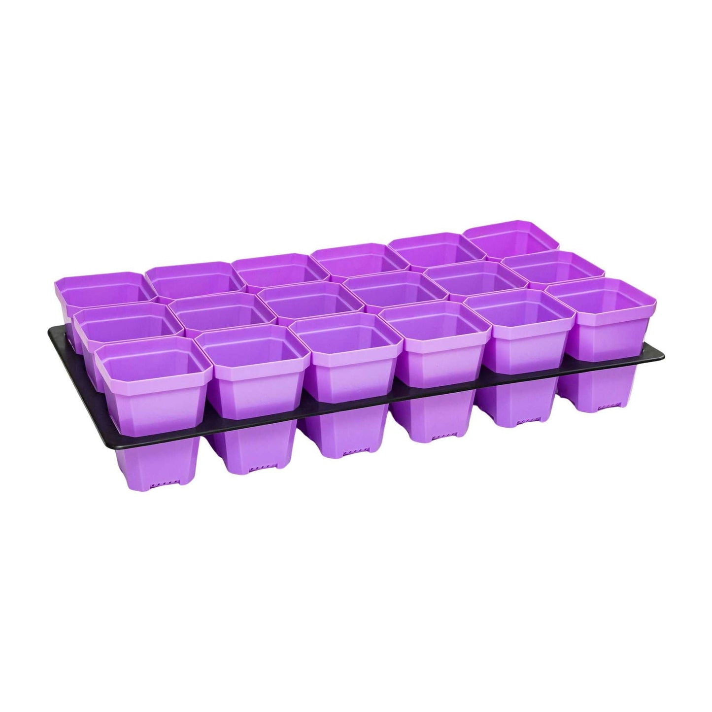 Bootstrap Farmer 3.3-inch heavy-duty seed starting pots with inserts in multicolor cell trays for gardening.