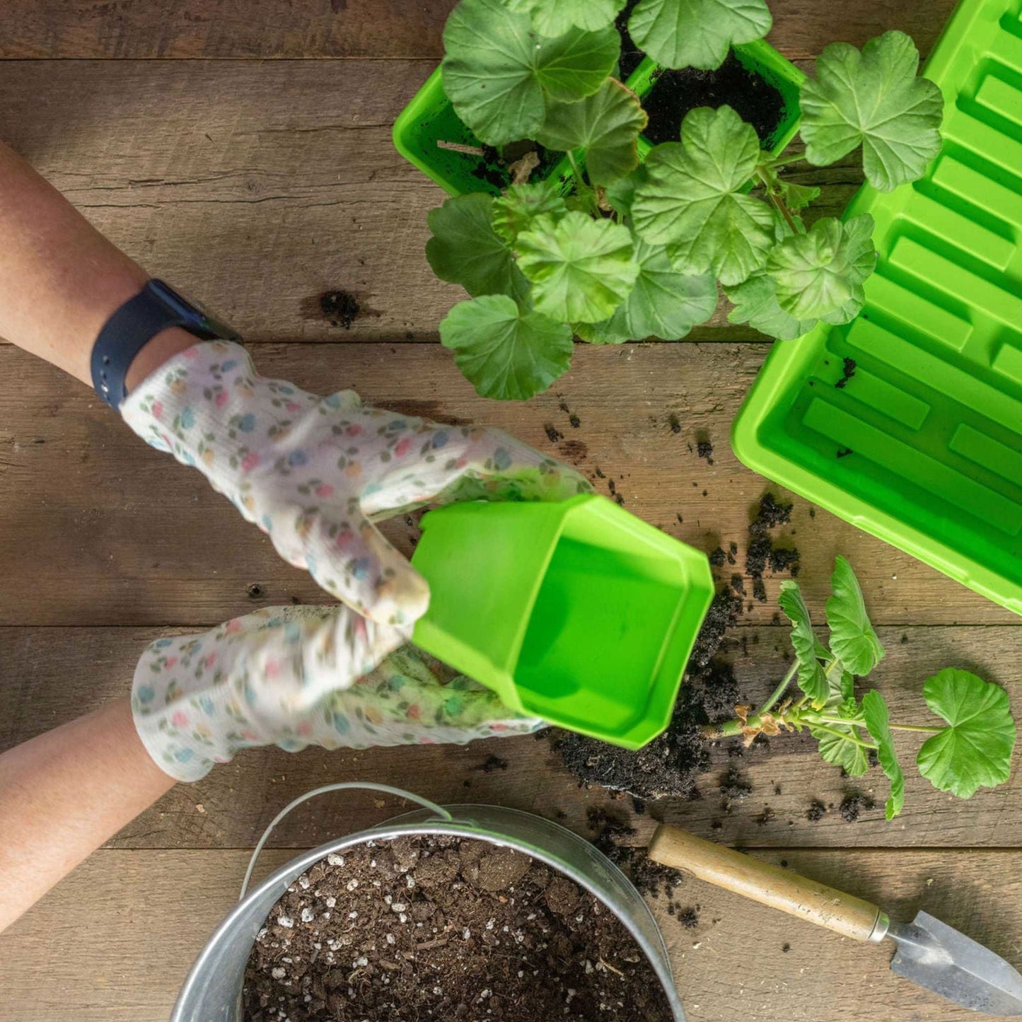 Multicolored Bootstrap Farmer 3.3-inch heavy-duty seed starting pots with inserts in a cell tray for seedlings.