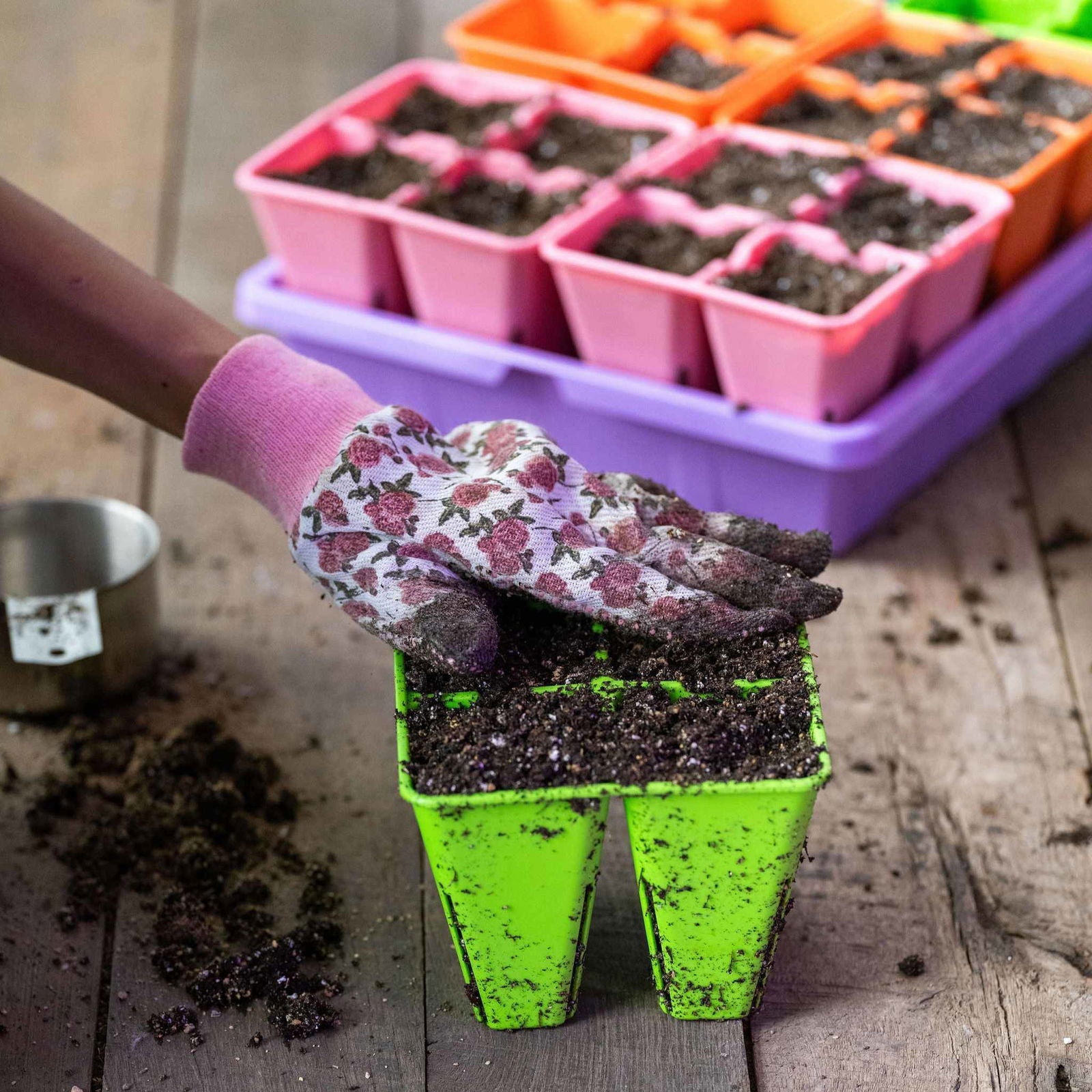 Bootstrap Farmer 4-cell plug tray inserts for cell trays, multicolor seedling propagation inserts for gardening.