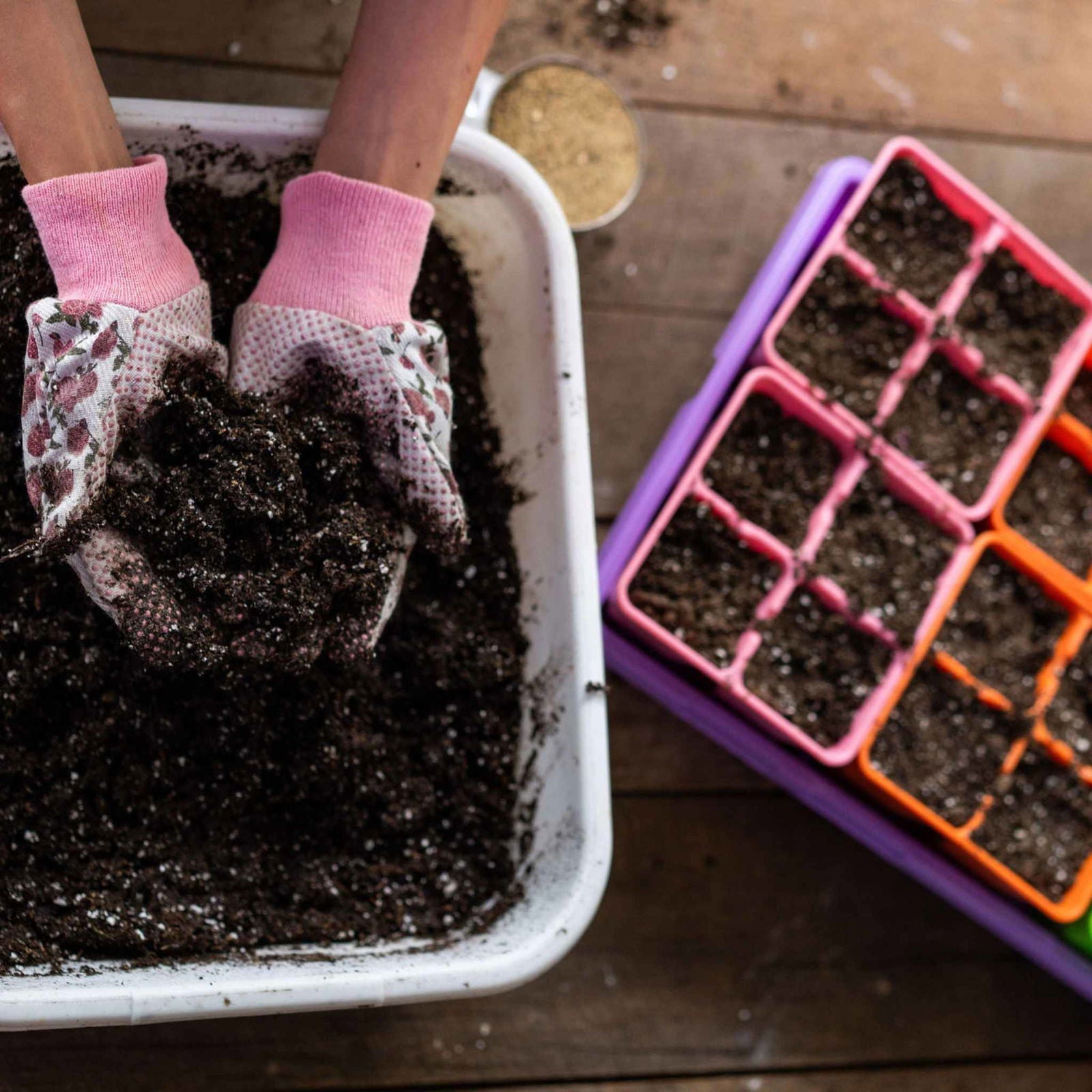 Multicolor Bootstrap Farmer 4 Cell Plug Tray Inserts for seed starting and plant propagation in cell trays.