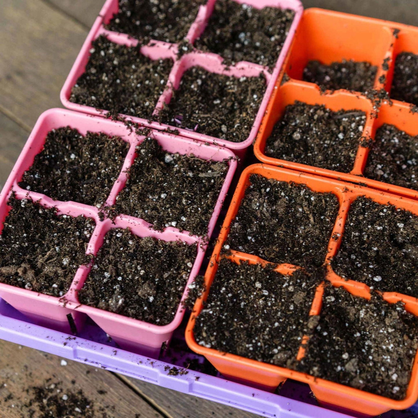 Multicolor Bootstrap Farmer 4 Cell Plug Tray Inserts for seed starting and propagation in cell trays.