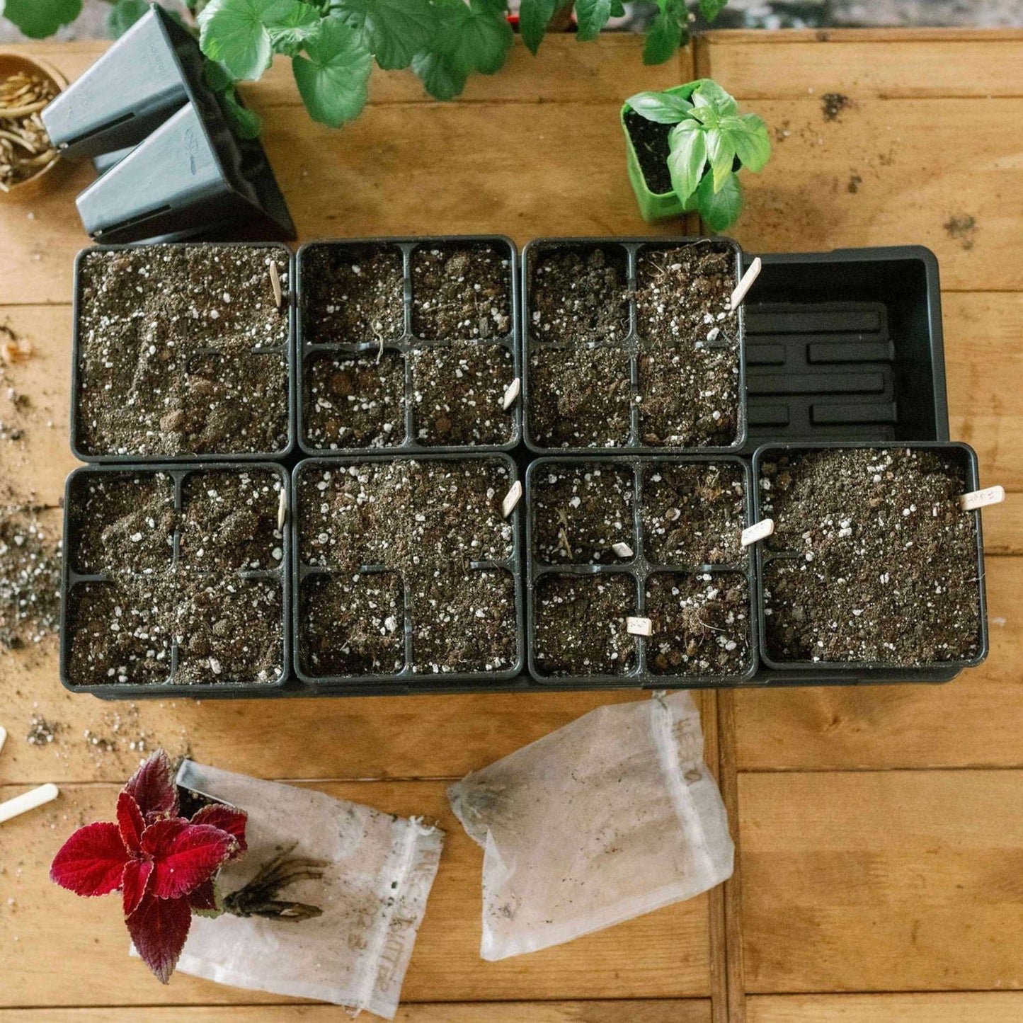 Multicolor Bootstrap Farmer 4-cell plug tray inserts for seed starting and plant propagation, with eight trays shown in the image.