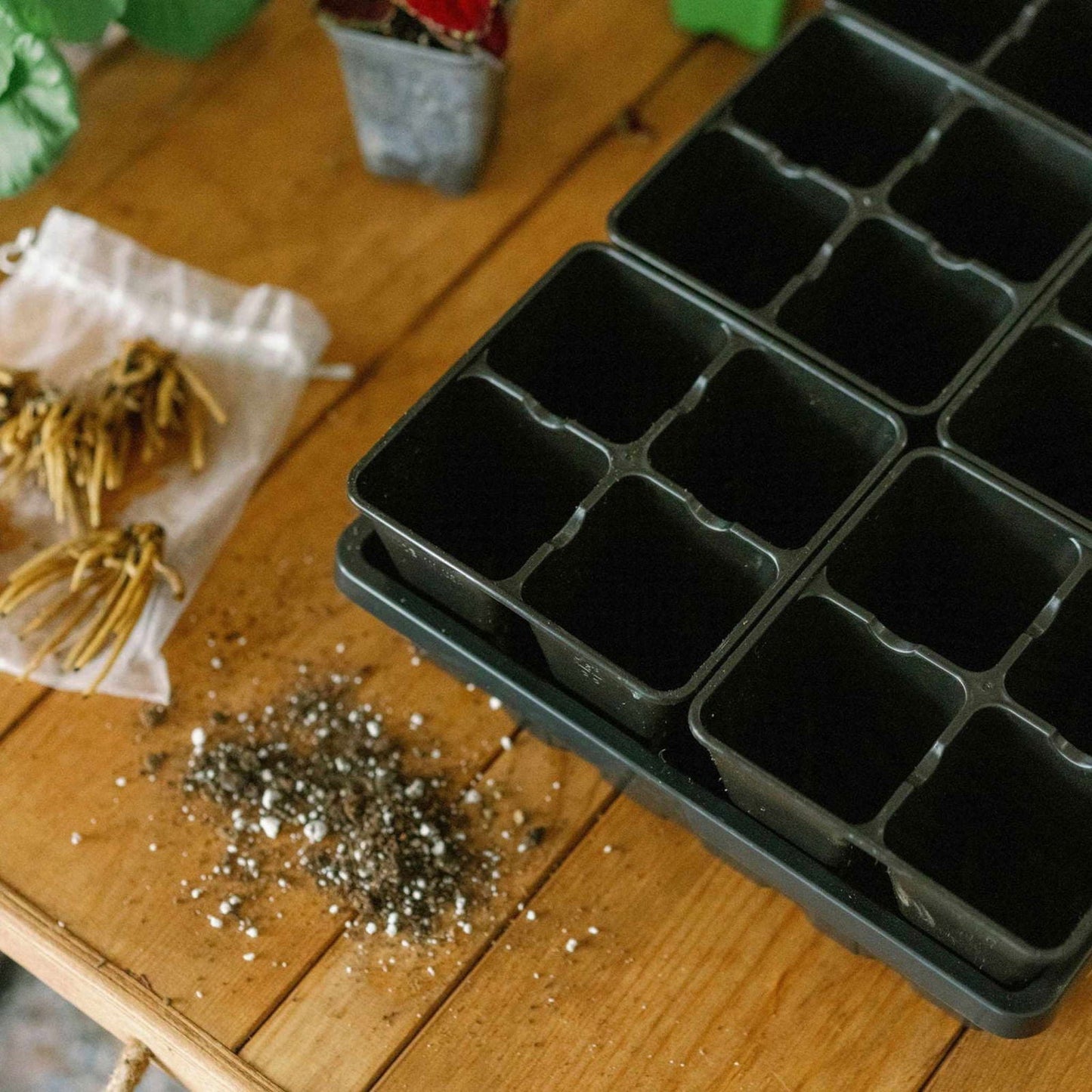 Multicolor Bootstrap Farmer 4 Cell Plug Tray Inserts for seed starting and plant propagation, designed for cell trays.