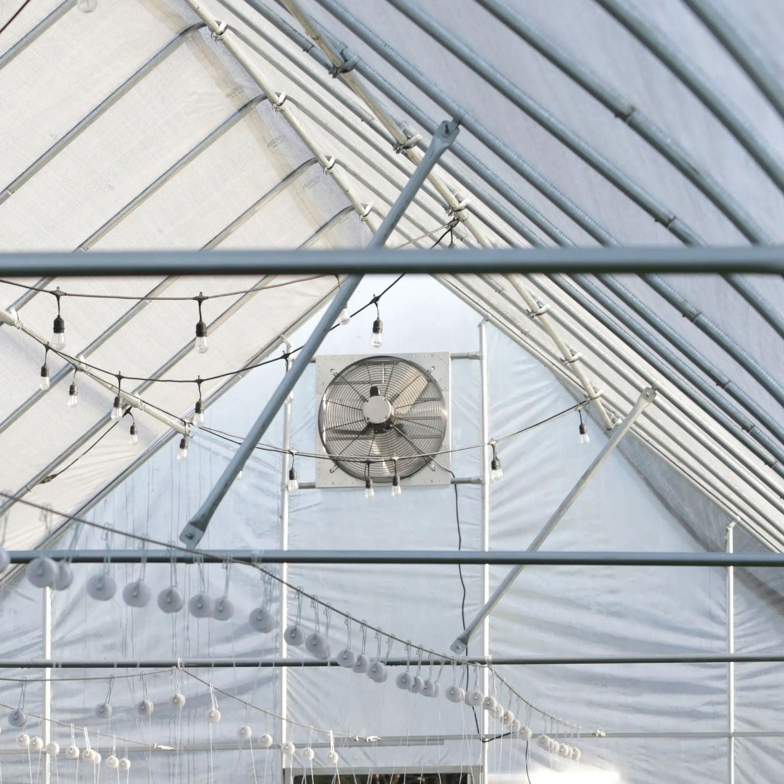 Greenhouse shutter mount exhaust fans by Bootstrap Farmer, 12-inch fans for effective ventilation in greenhouse environments.