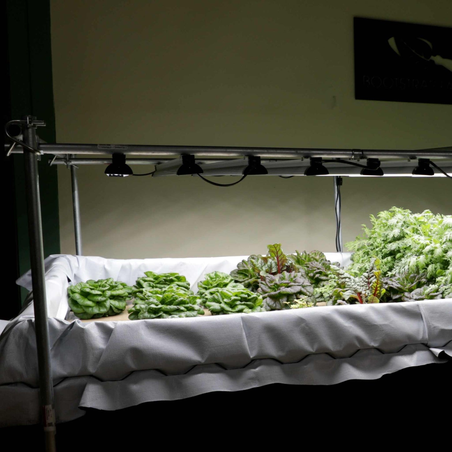 Bootstrap Farmer Deep Water Culture (DWC) kit with garden tools for hydroponic plant growth, featuring various gardening equipment.