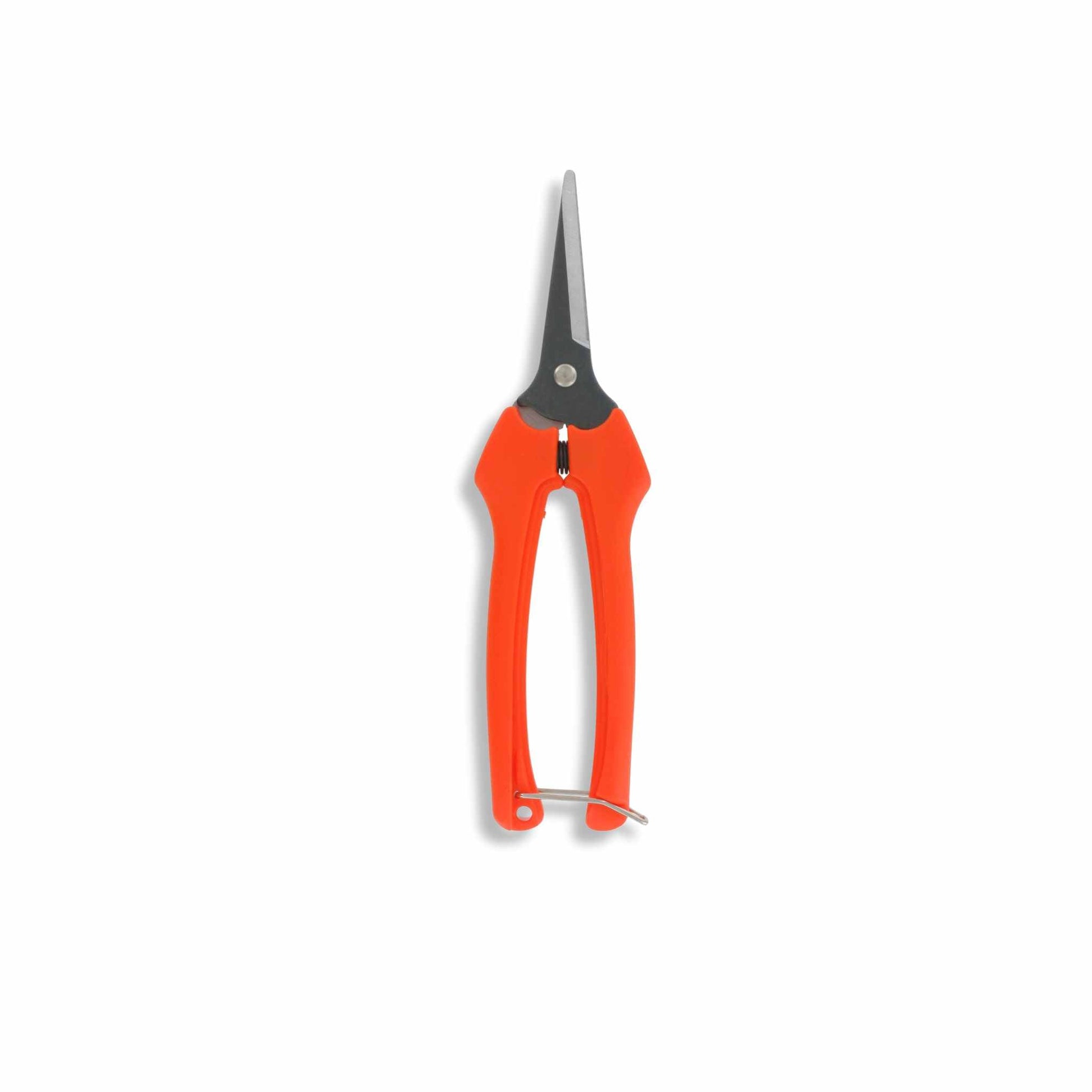 Bootstrap Farmer harvesting pruning shears, 185 mm curved garden tool for pruning and harvesting plants.