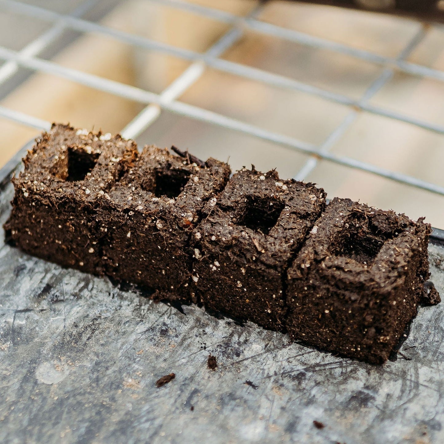 Set of four Bootstrap Farmer Ladbrooke Soil Blocker Insert Pins, 3/4 inch cubic garden tool pins for soil blocking.