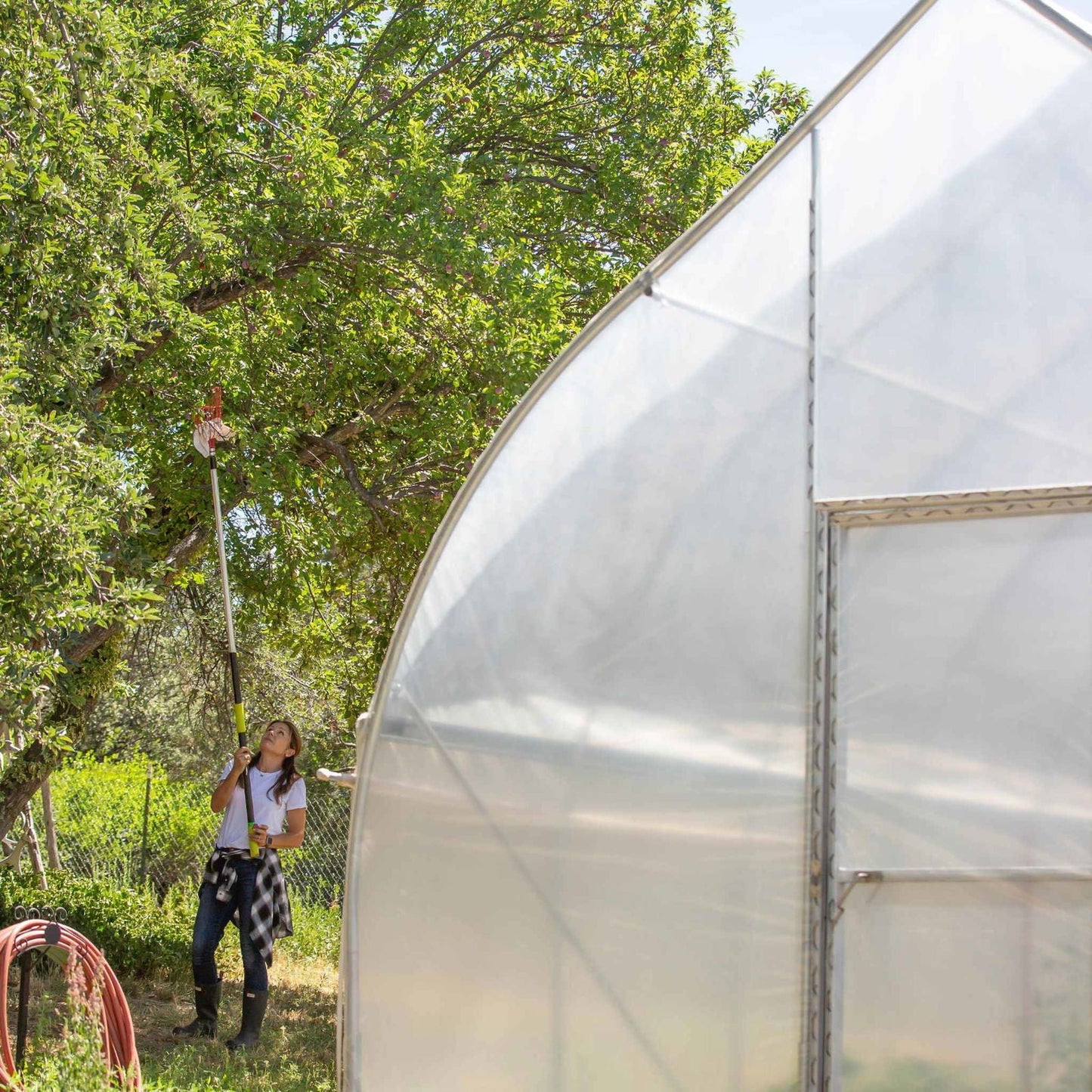 Gothic all-metal hoop house greenhouse kit by Bootstrap Farmer with sturdy metal arches and clear plastic cover for gardening.