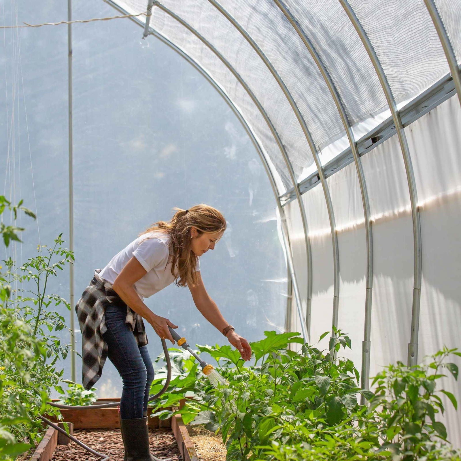 Gothic all-metal hoop house kit from Bootstrap Farmer, green greenhouse kit with sturdy metal framing and clear plastic cover.