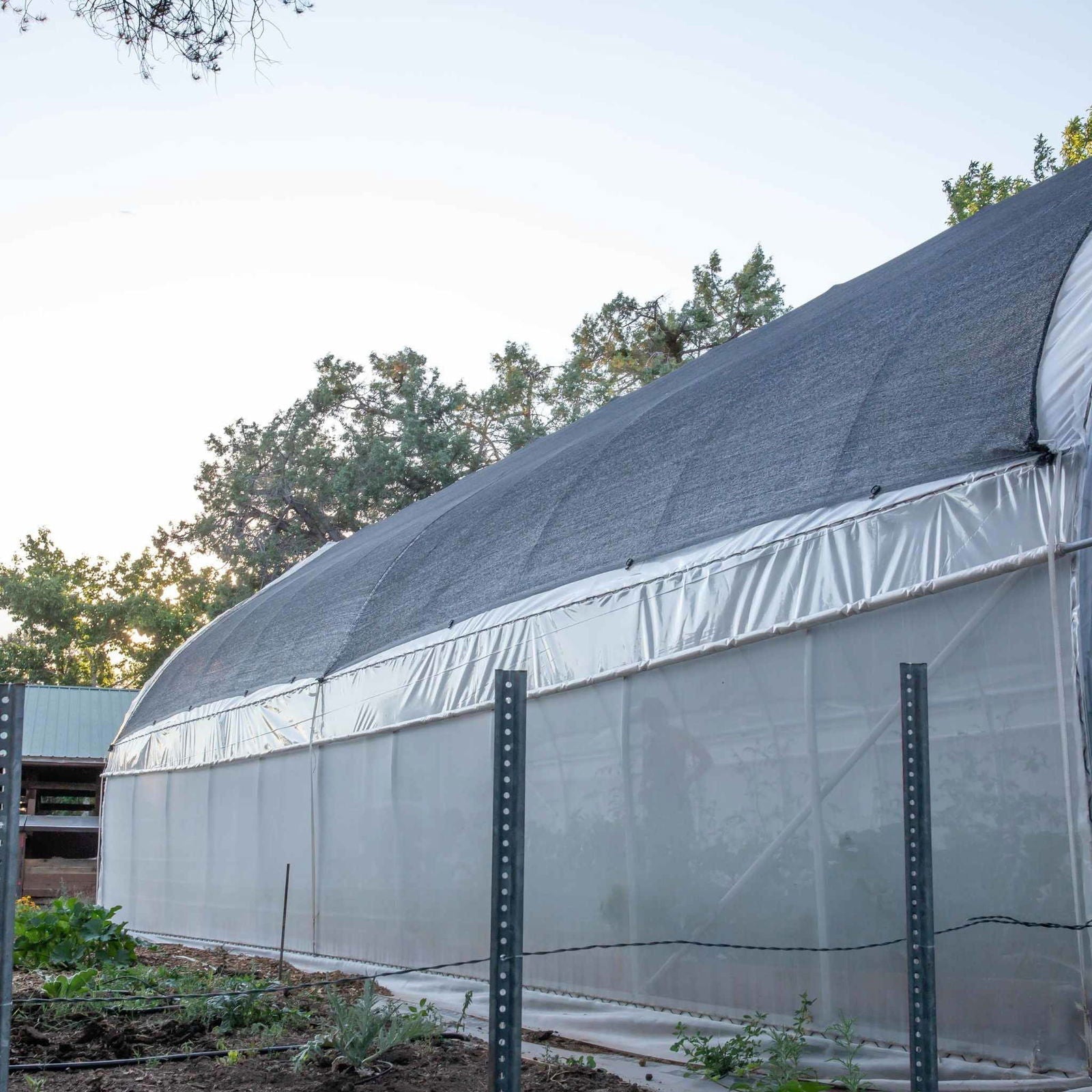 Gothic all-metal hoop house greenhouse kit by Bootstrap Farmer, featuring sturdy metal hoops and transparent plastic covering.