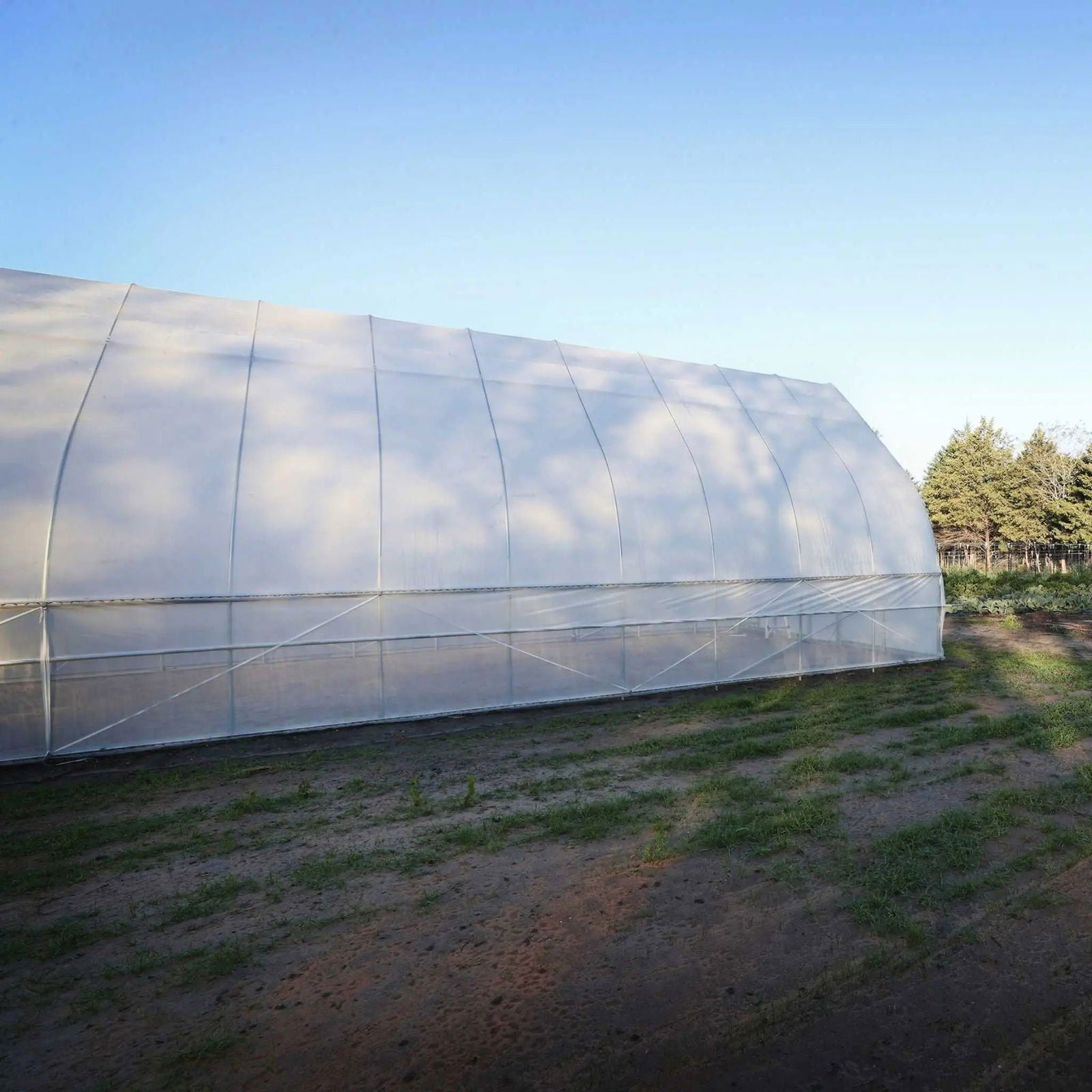 Gothic all-metal hoop house greenhouse kit by Bootstrap Farmer with sturdy metal frame and clear plastic cover for plant growth.