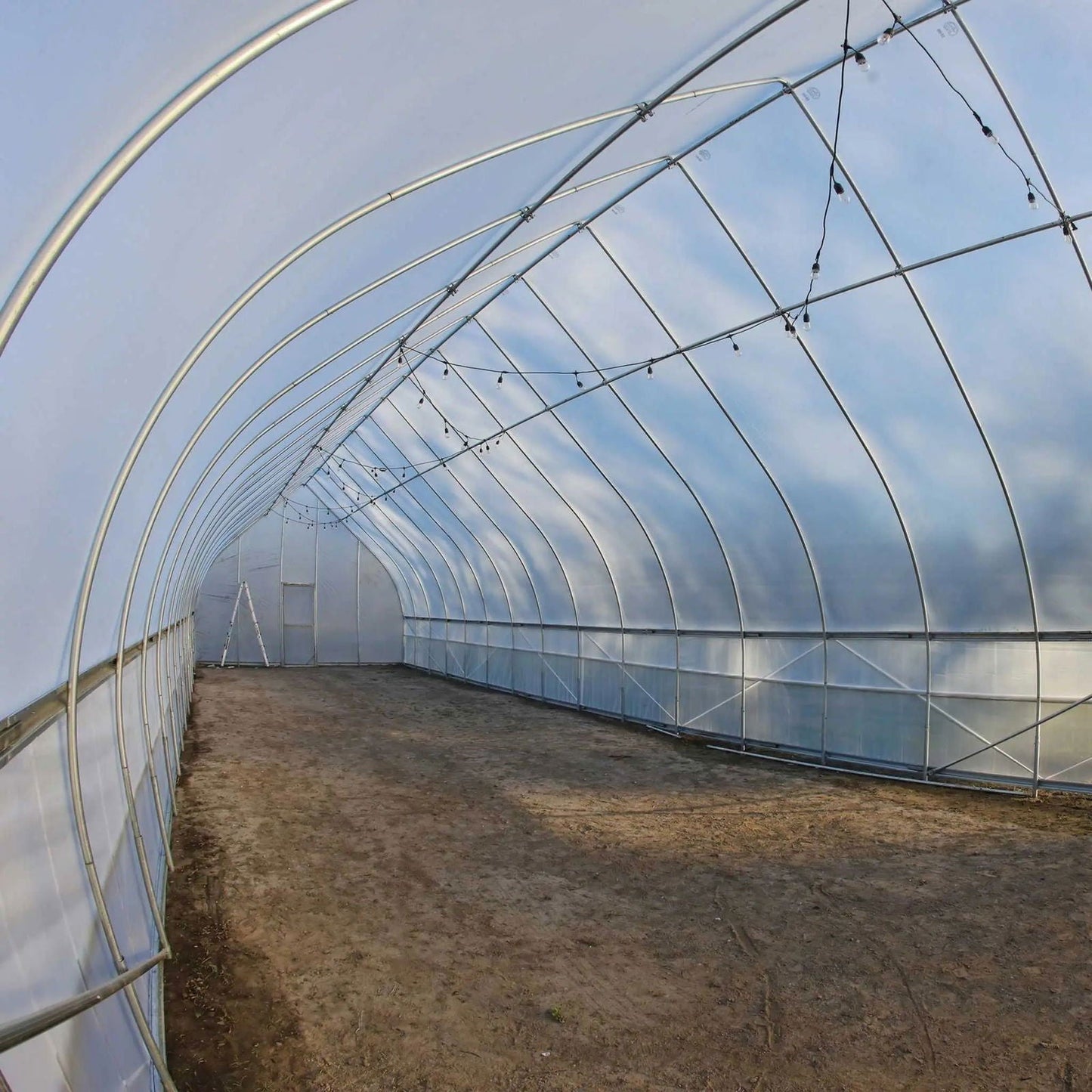 Gothic all-metal hoop house greenhouse kit by Bootstrap Farmer, featuring sturdy metal frame and clear plastic cover for plant protection