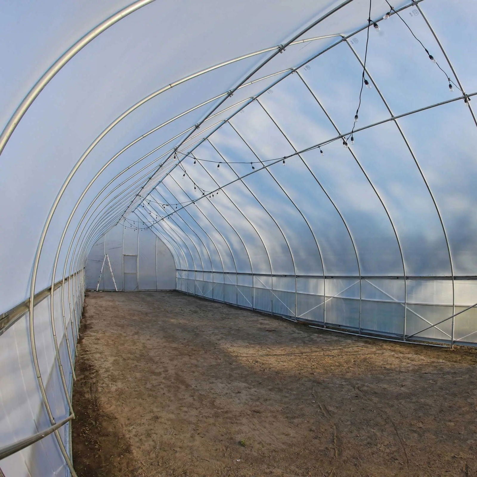 Gothic all-metal hoop house greenhouse kit by Bootstrap Farmer, featuring sturdy metal frame and clear plastic cover for plant protection