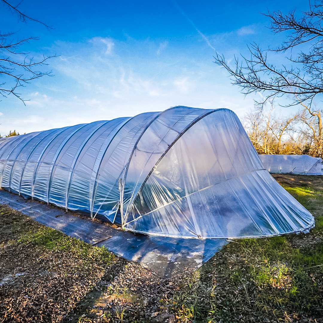All-metal Caterpillar Tunnel Kit with butterfly doors for greenhouse cultivation by Bootstrap Farmer, designed for durability and easy access.