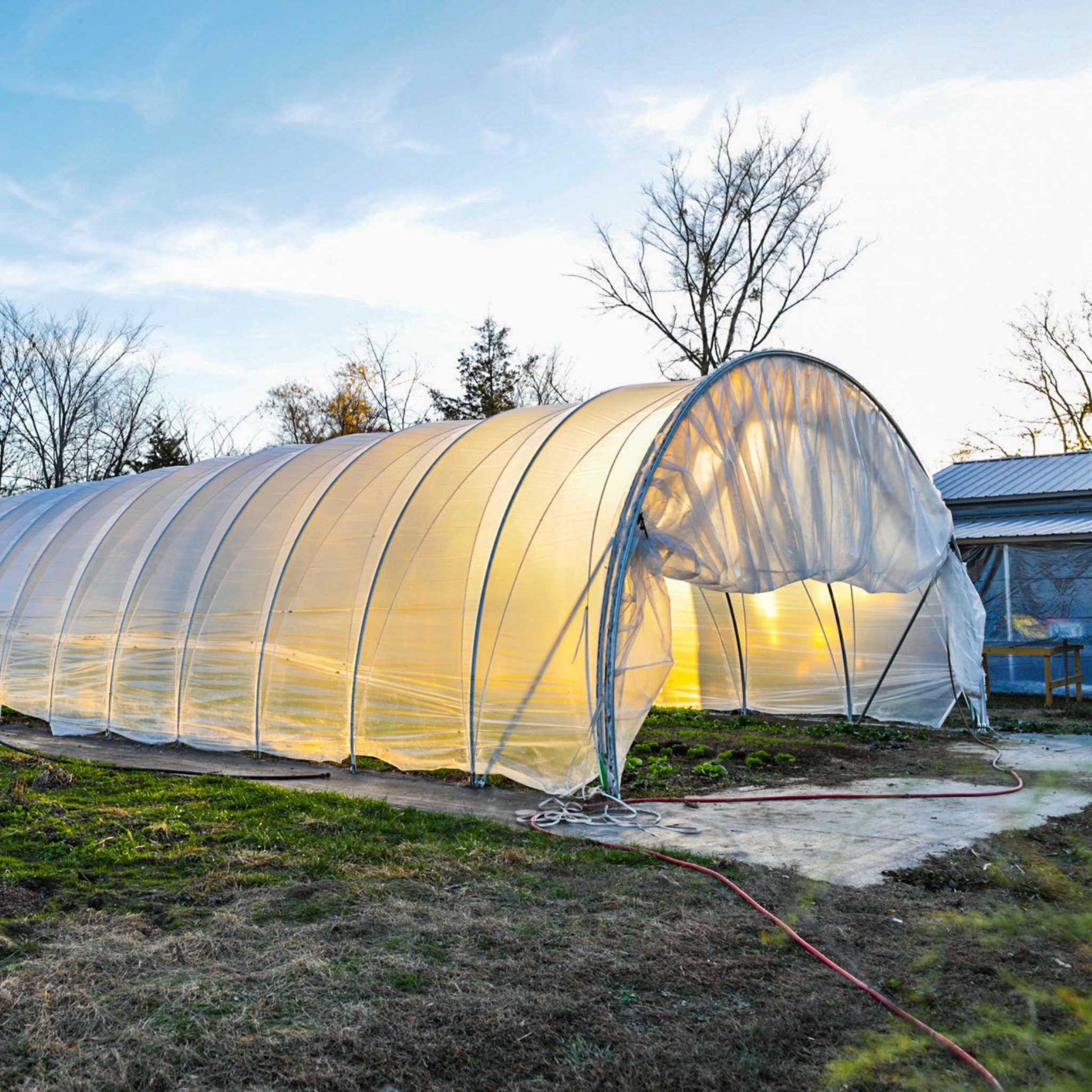 All-metal caterpillar tunnel greenhouse kit with butterfly doors by Bootstrap Farmer, featuring a green structure and sturdy frame.