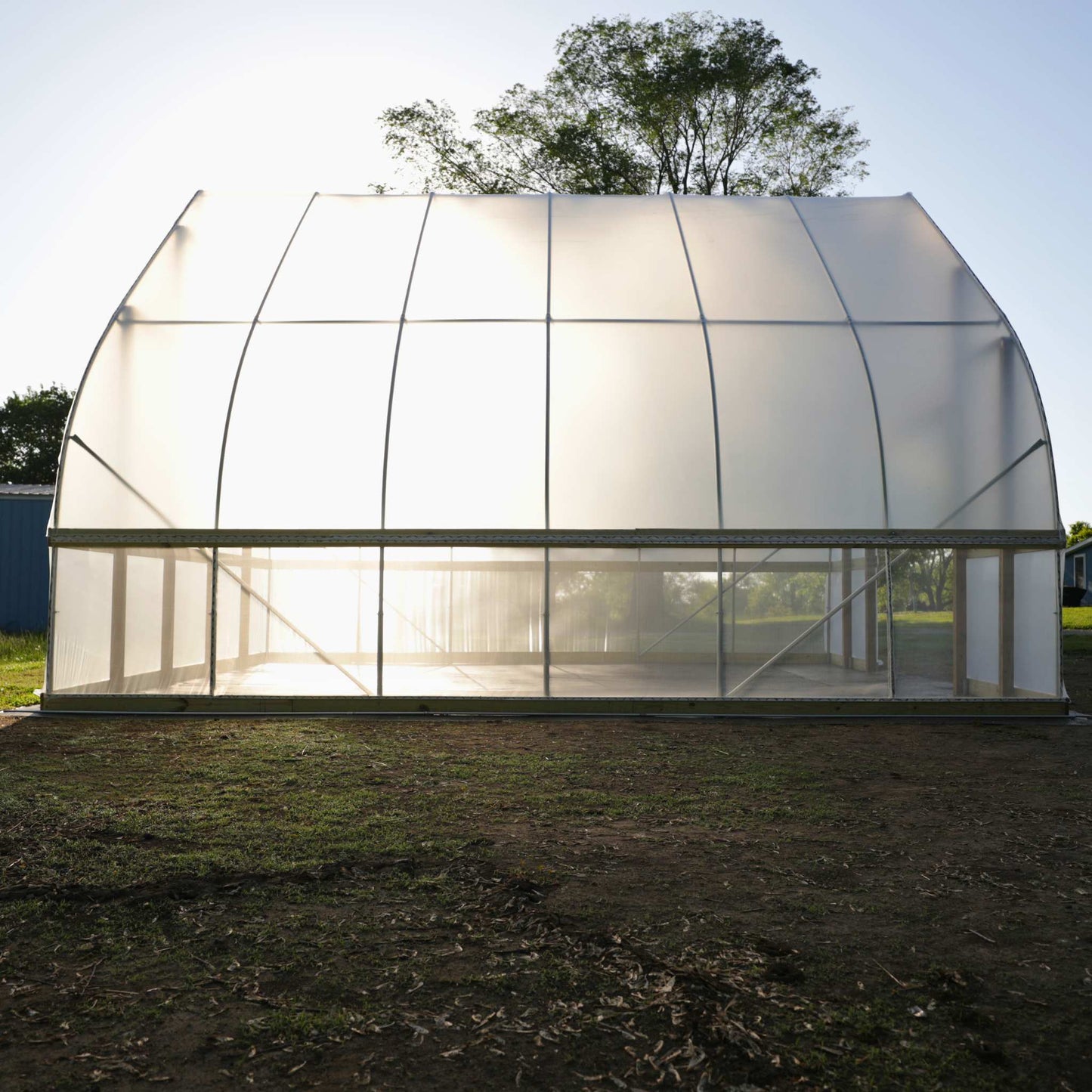 DIY Gothic Greenhouse Kit by Bootstrap Farmer, featuring a sturdy green frame and clear panels for year-round gardening.