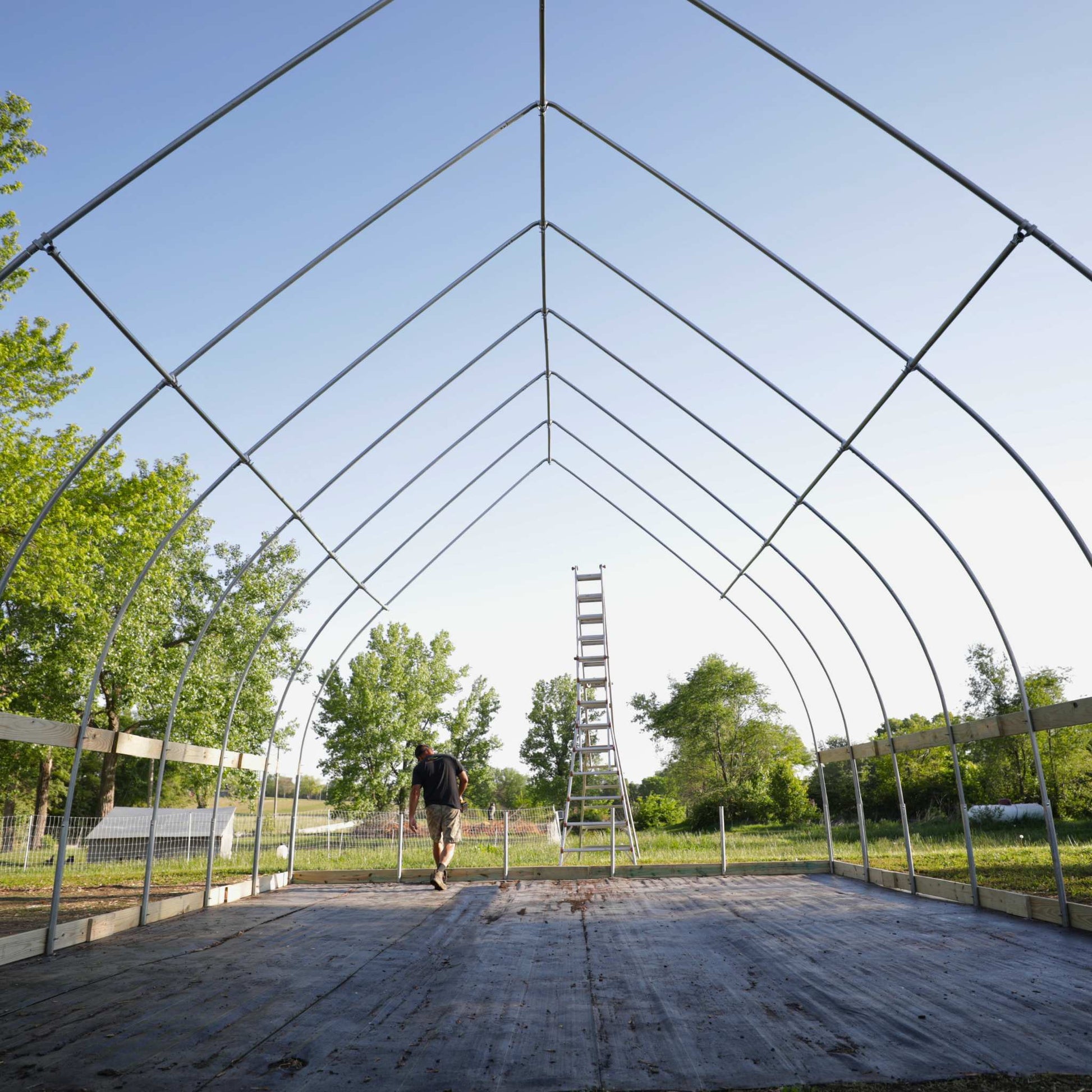DIY Gothic Greenhouse Kit by Bootstrap Farmer featuring sturdy frame and clear panels for home gardening and plant protection.