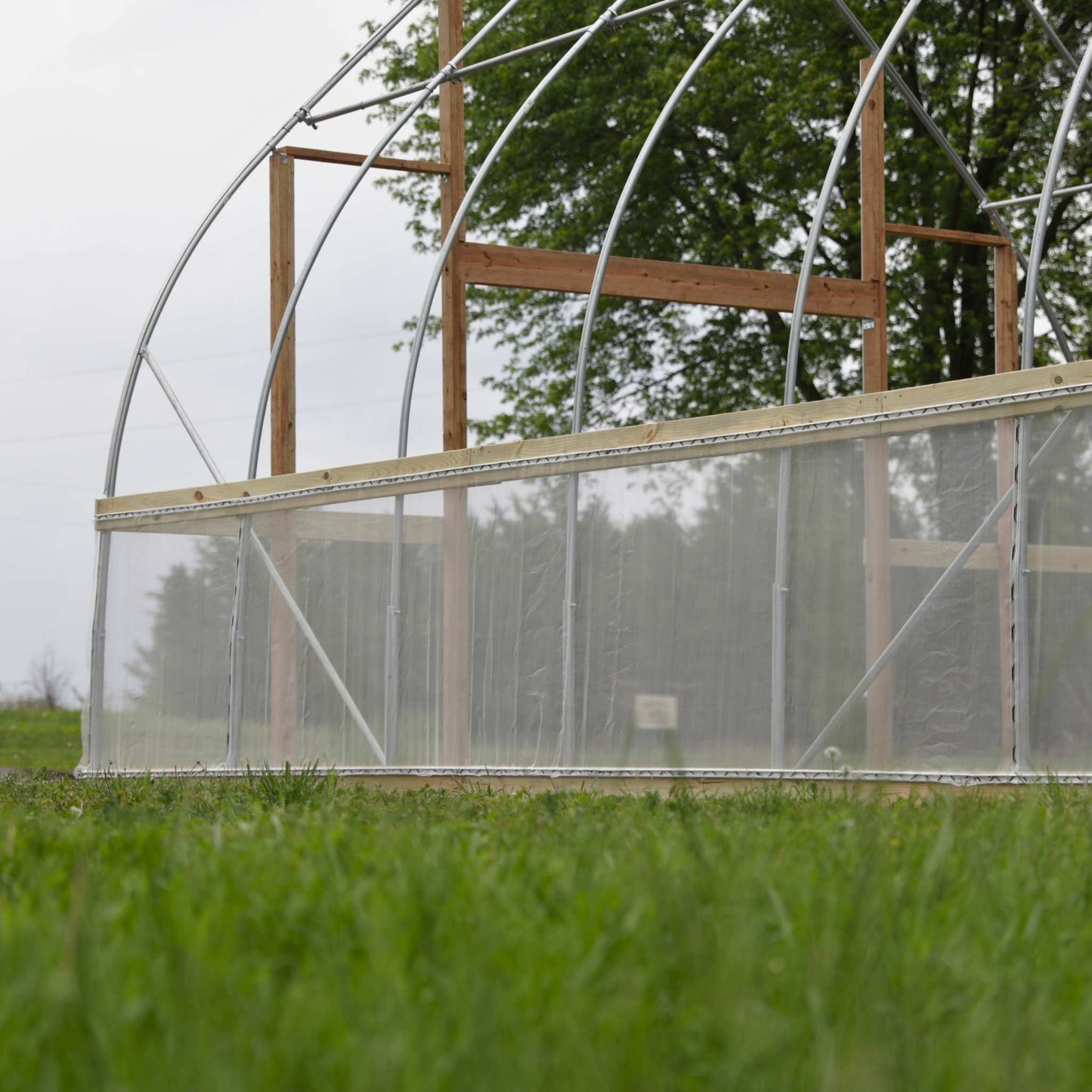 DIY Gothic Greenhouse Kit by Bootstrap Farmer featuring a sturdy frame and clear panels for easy assembly and ample plant growth.