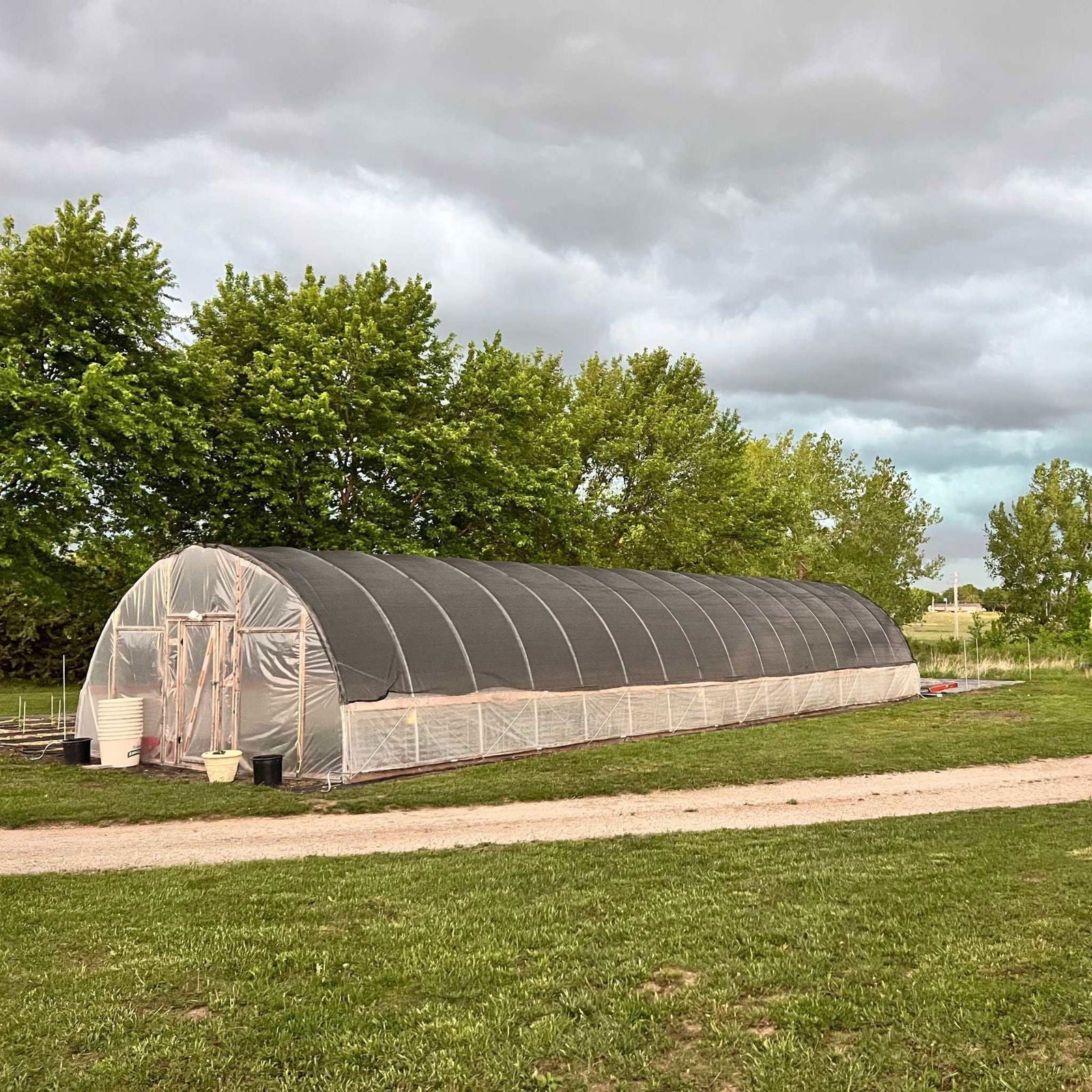 DIY Bootstrap Farmer 12 ft wide greenhouse kit featuring hoop house design, ideal for small-scale gardening and plant protection.