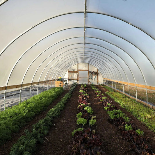 Bootstrap Farmer DIY greenhouse kit with 16-foot-wide hoop house structure, featuring green poly cover and sturdy metal frame.