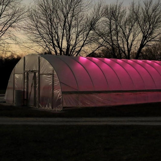 Bootstrap Farmer DIY Greenhouse Kit with 16 ft wide hoop house, clear plastic cover, and sturdy frame for easy assembly.