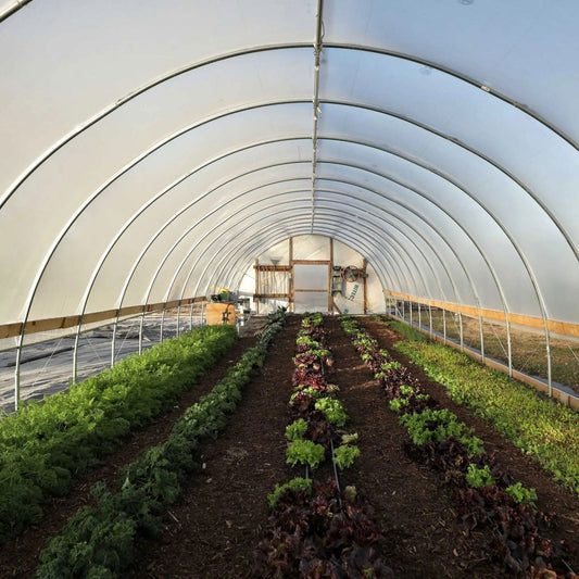 Bootstrap Farmer DIY Greenhouse Kit, 20 ft wide hoop house with clear plastic covering for year-round gardening.