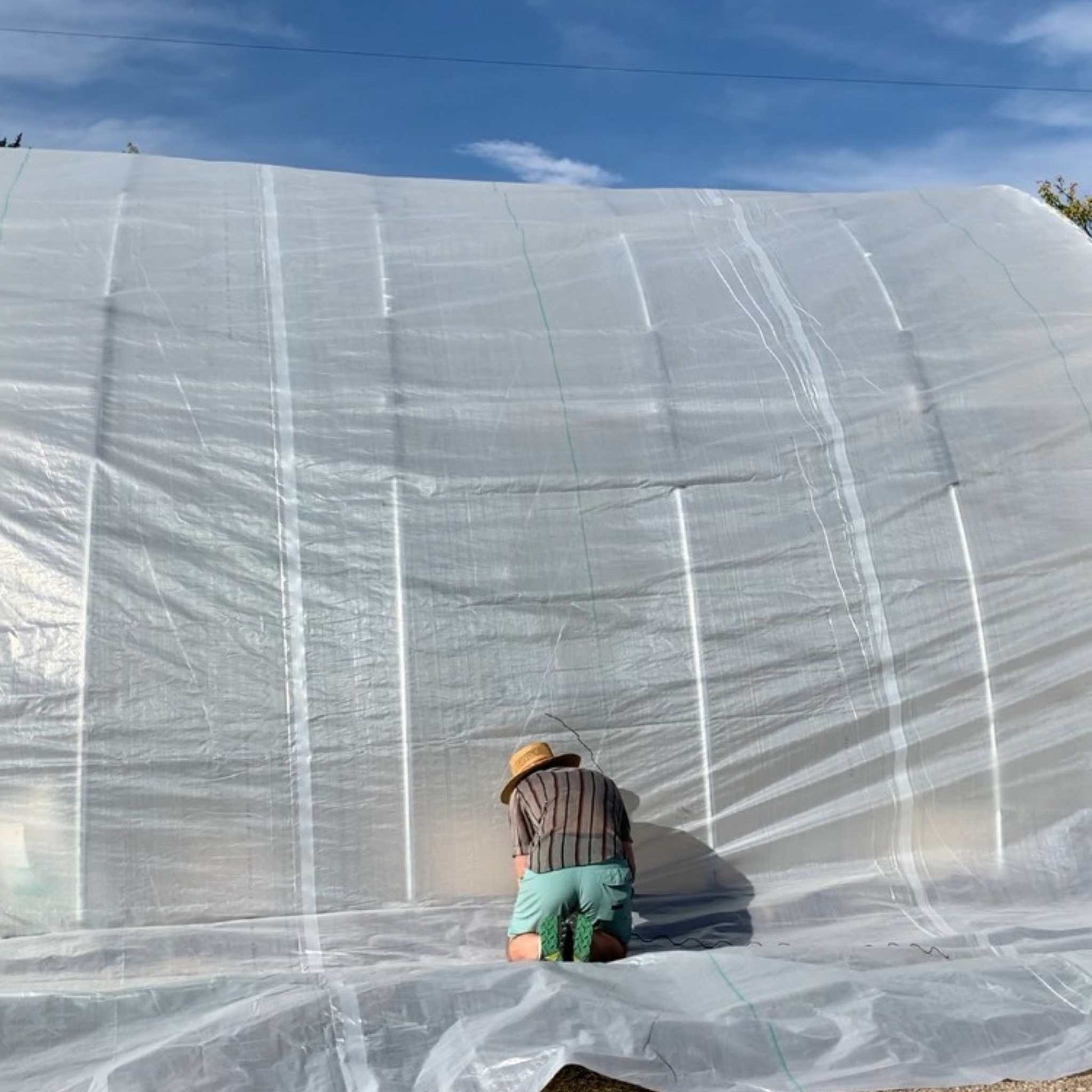 Greenhouse woven plastic sheet by Bootstrap Farmer, 11 mil Solarig 182, durable UV-resistant greenhouse plastic for plant protection