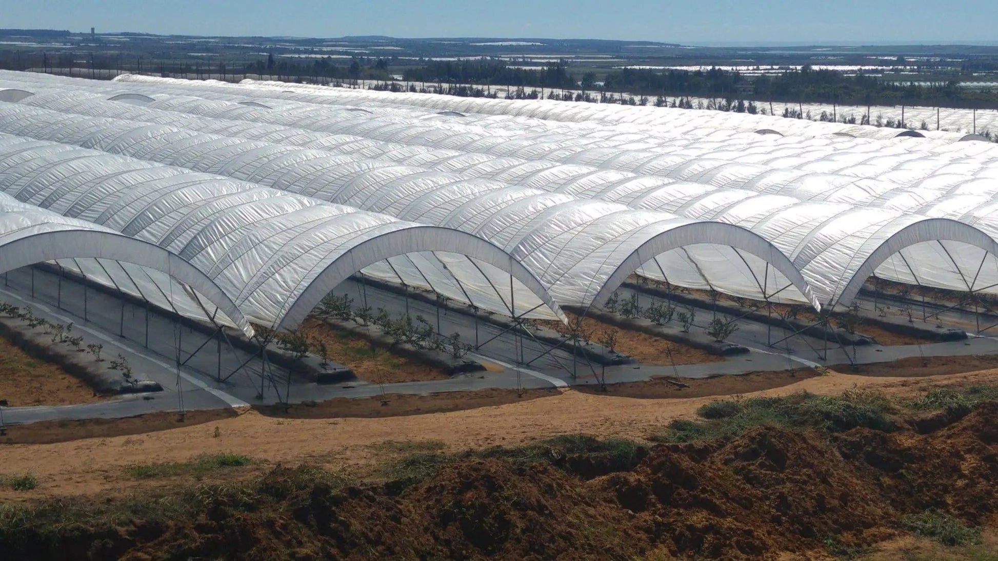 Greenhouse woven plastic sheeting by Bootstrap Farmer, 11 mil Solarig 182, durable and UV-resistant for plant protection.