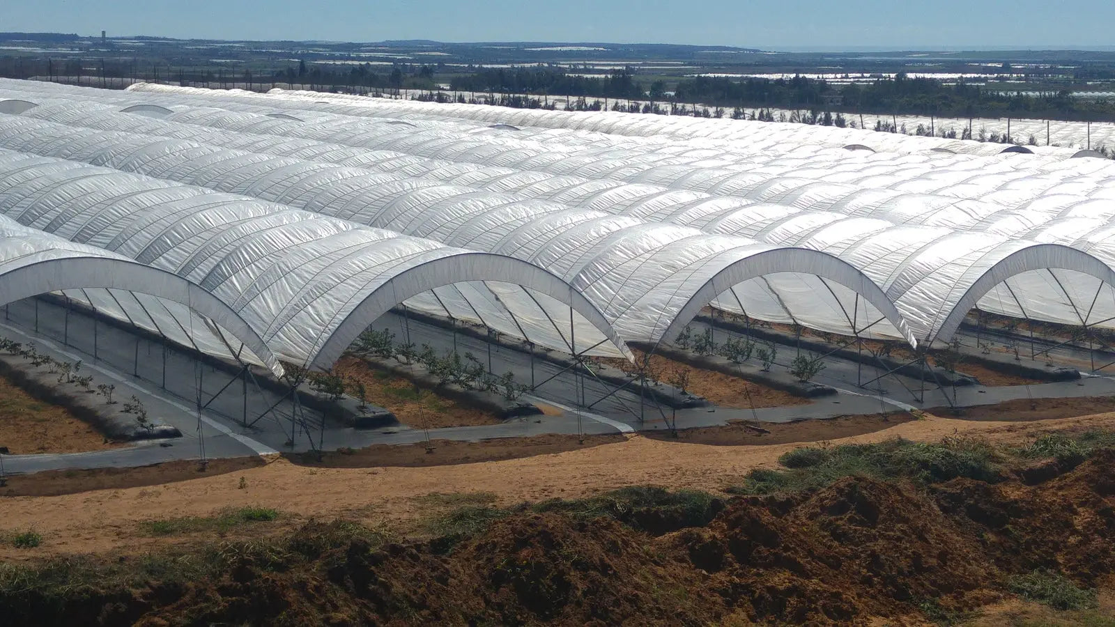 Greenhouse woven plastic film by Bootstrap Farmer, 8 mil Solarig 156, designed for durable greenhouse covering.