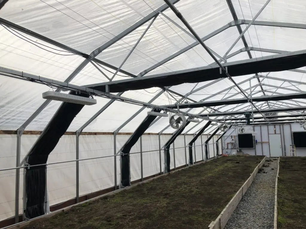 Open UV greenhouse plastic by Bootstrap Farmer, 6 mil high diffusion greenhouse plastic for enhanced light distribution.