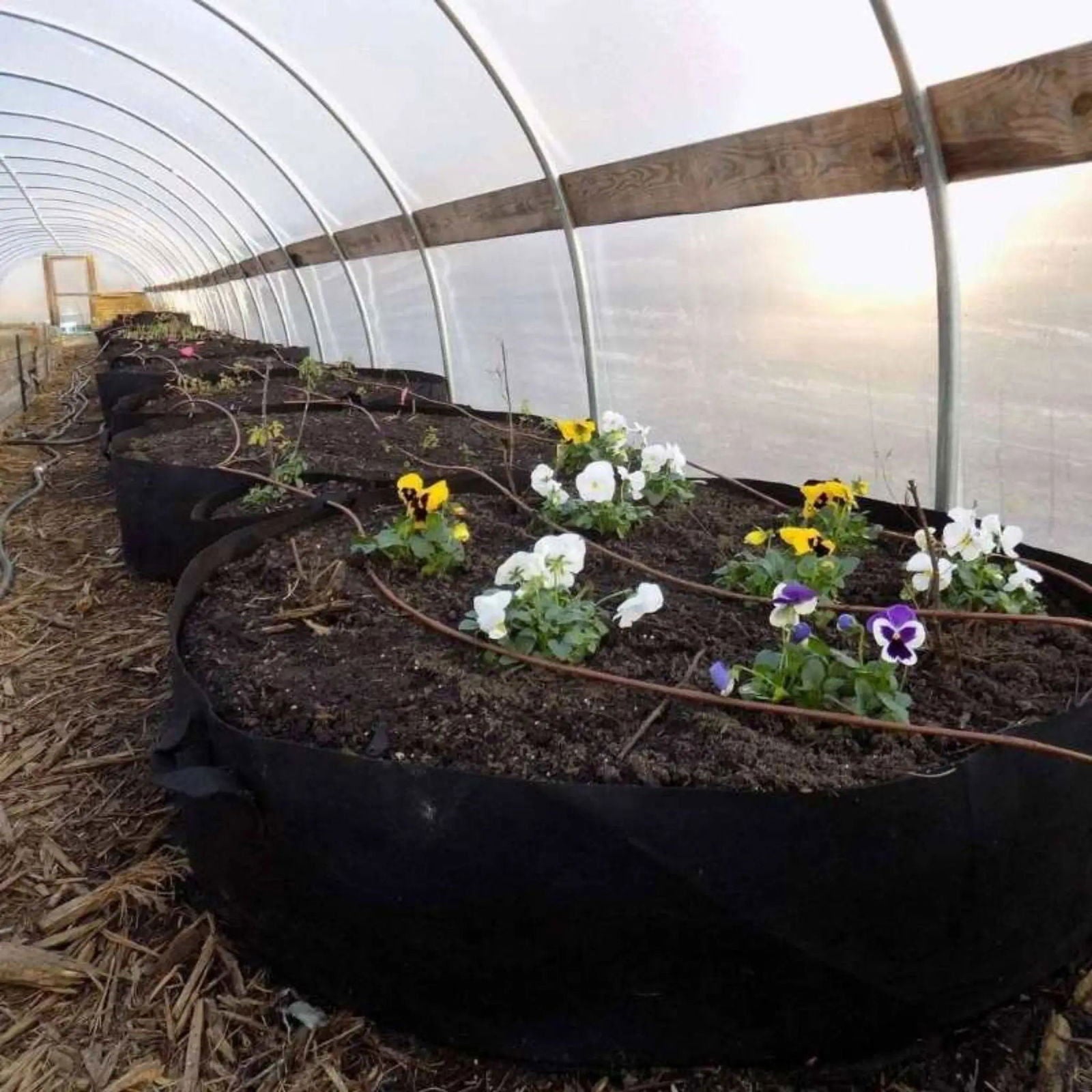 Bootstrap Farmer 100 Gallon Grow Bags for gardening, durable black fabric containers for large plant growth.