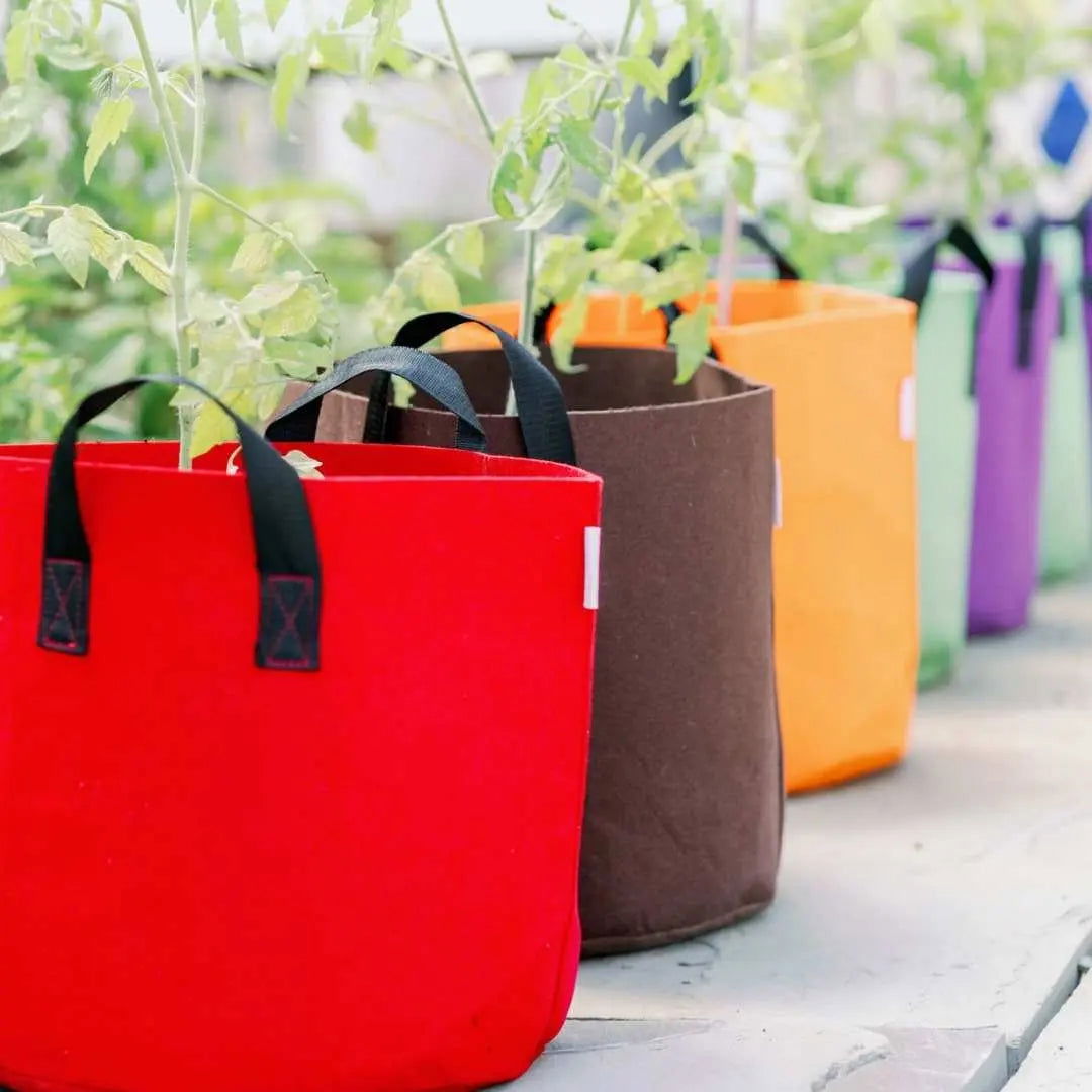 Set of 10 Bootstrap Farmer 7-gallon colored fabric grow bags in multicolor for gardening and plant cultivation.