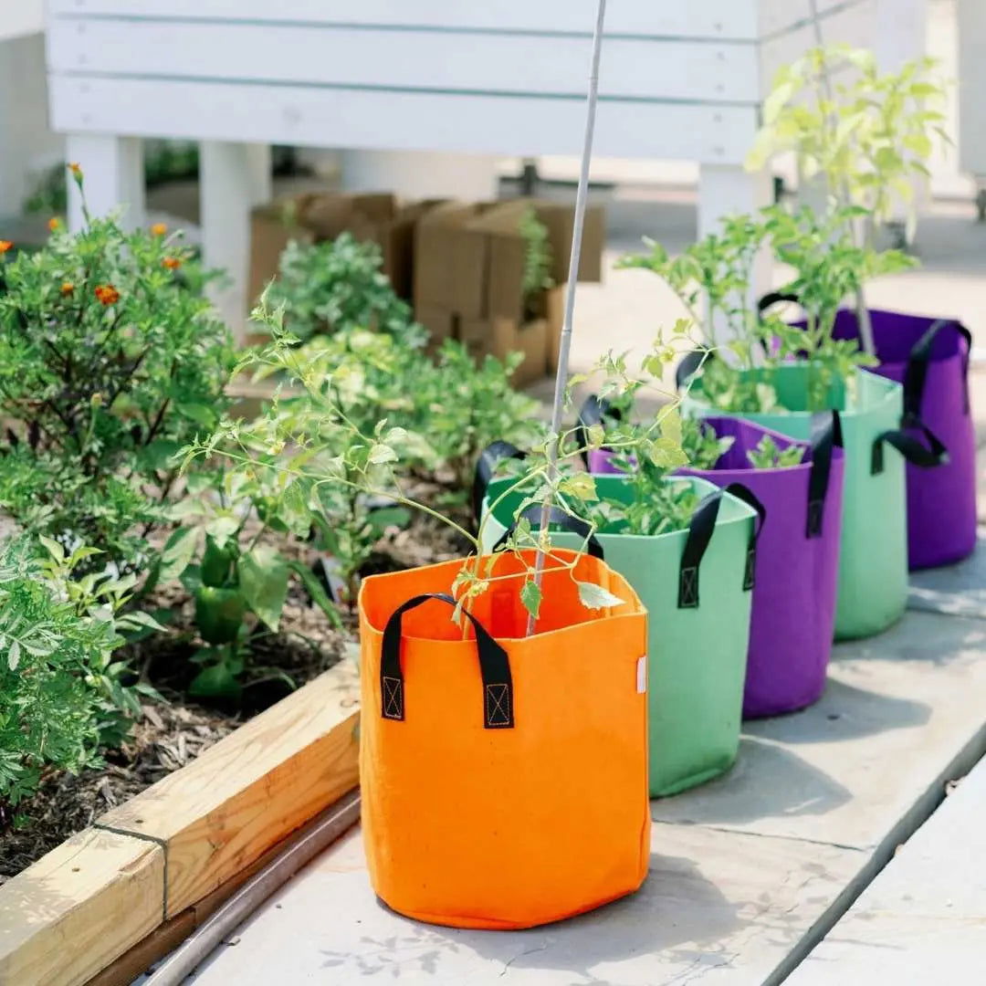 Set of 10 Bootstrap Farmer 7-gallon colored fabric grow bags for gardening and plant cultivation.
