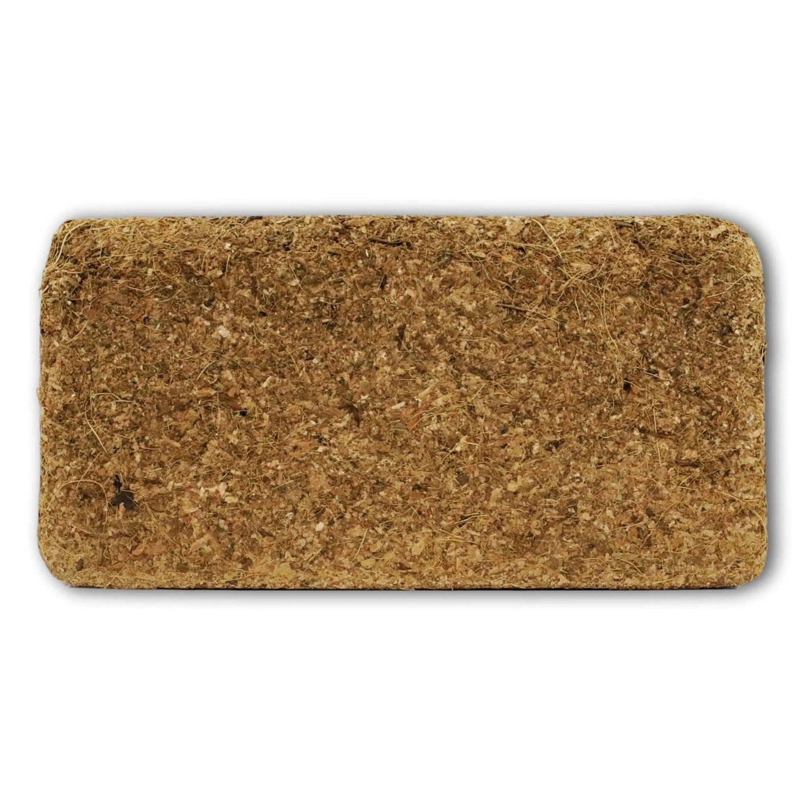 Bootstrap Farmer coco coir brick, 1.3 lbs, natural organic growing media for gardening and plant propagation.