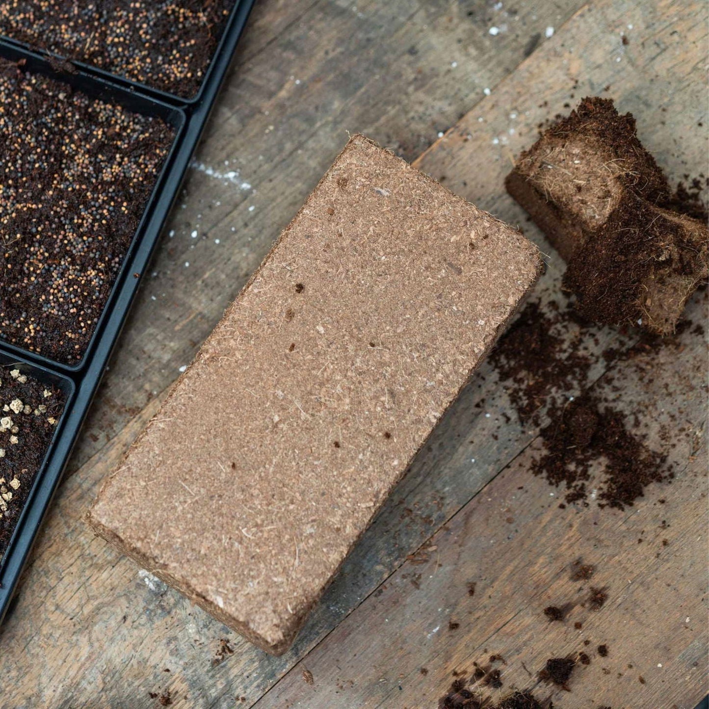 Bootstrap Farmer coco coir brick, 3 lbs, natural growing media for gardening and plant propagation.