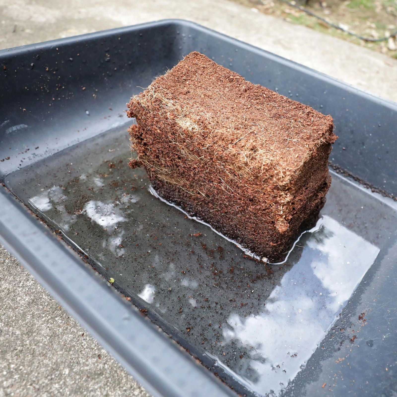 Bootstrap Farmer coco coir brick for growing media, compressed coconut fiber block suitable for gardening and plant propagation.