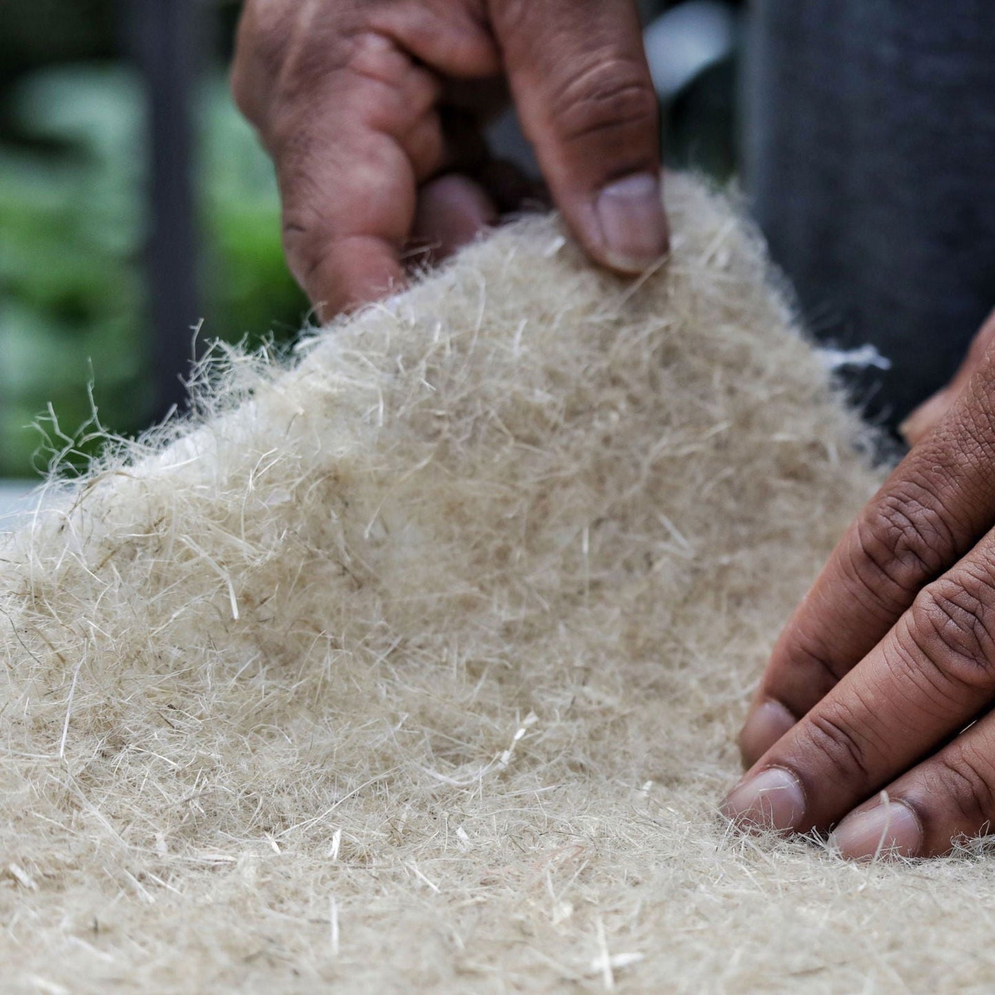 Bootstrap Farmer hemp grow mats, biodegradable growing media for efficient plant cultivation, shown in a set of 10 mats.