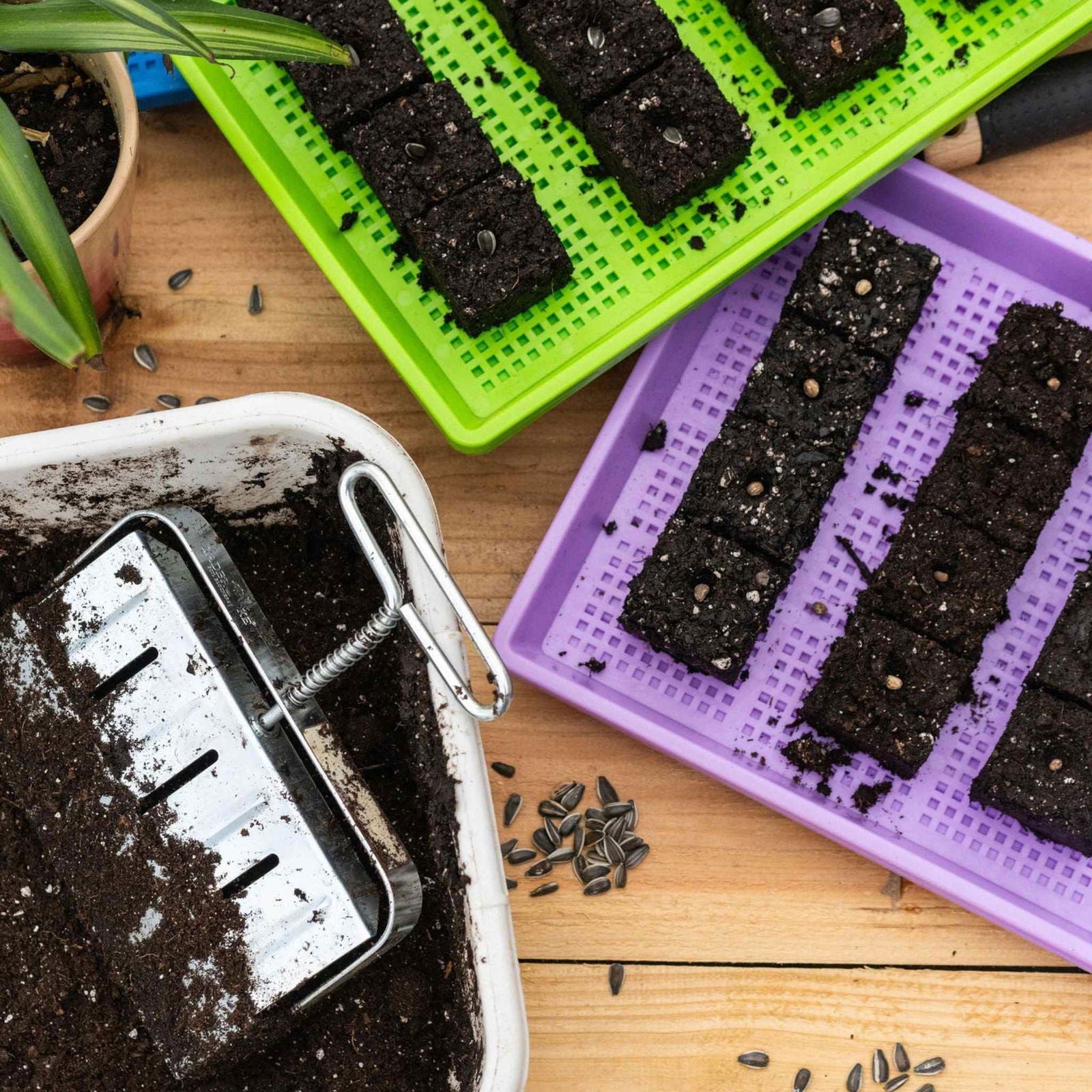 Bootstrap Farmer Ladbrooke Soil Blockers, 2-inch size, set of 4, used for starting seedlings in growing media.