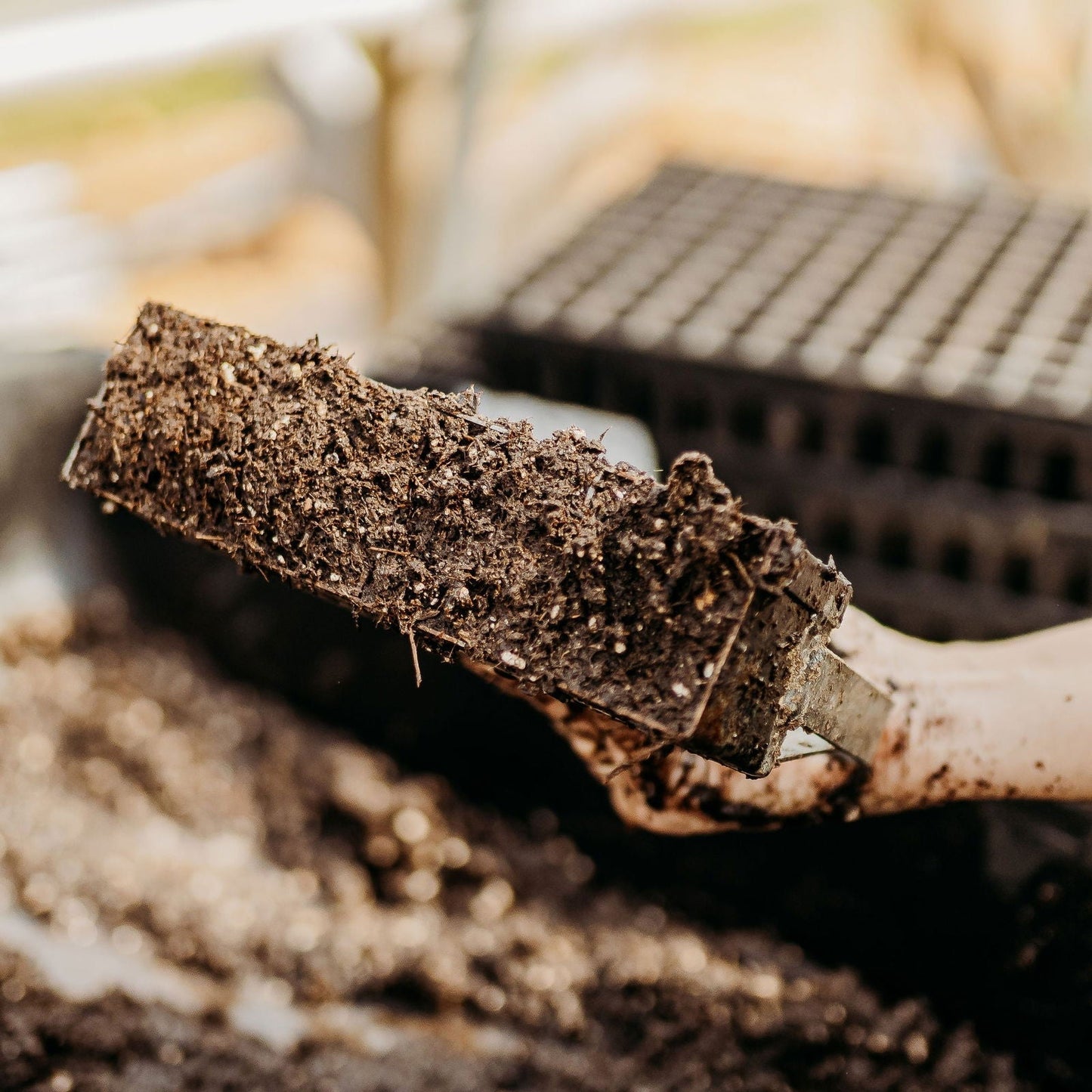 Four Bootstrap Farmer Ladbrooke Soil Blockers, 2-inch size, used as growing media for seed starting and plant propagation.