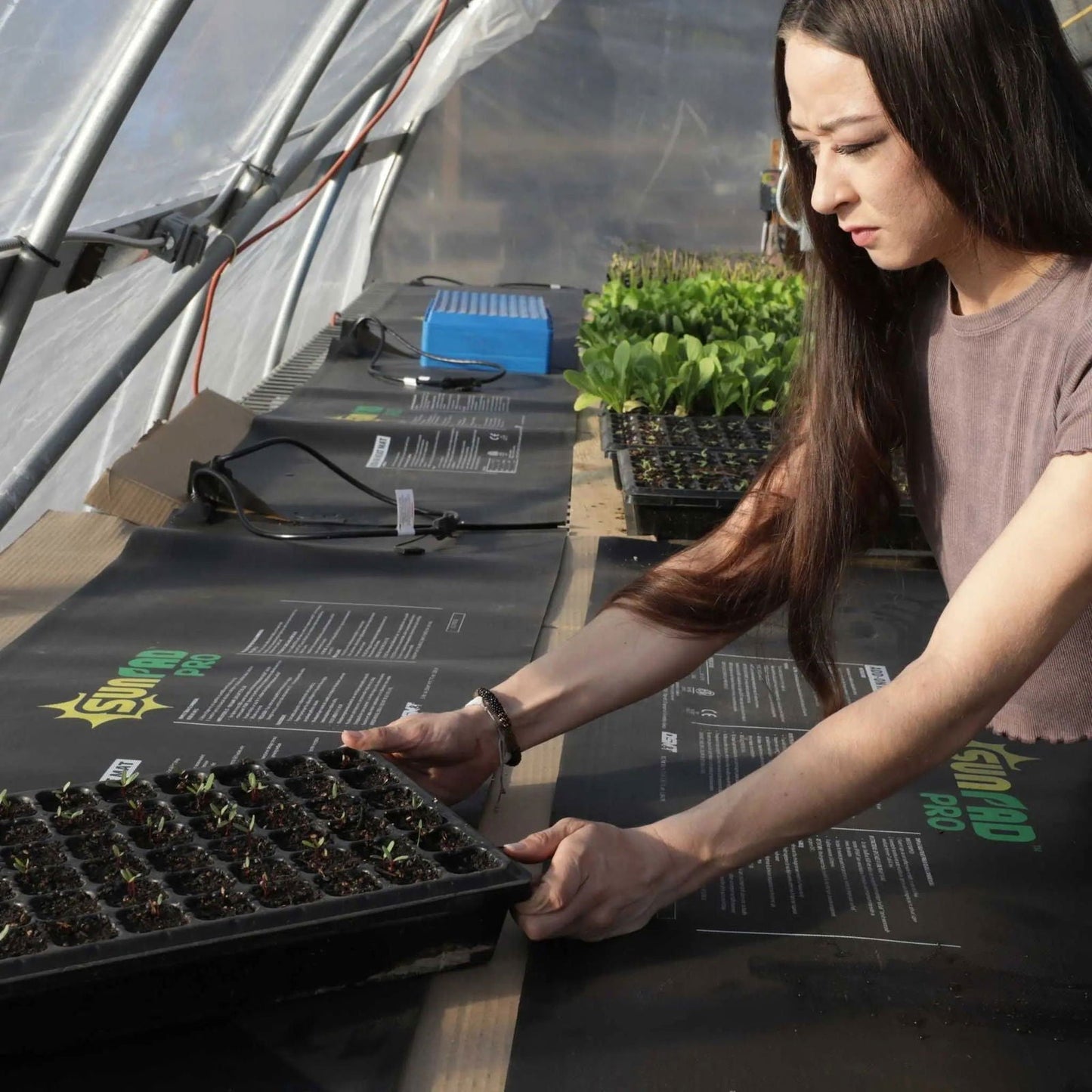 Bootstrap Farmer seedling heat mat with temperature controller showing adjustable dials and digital display for optimal germination.
